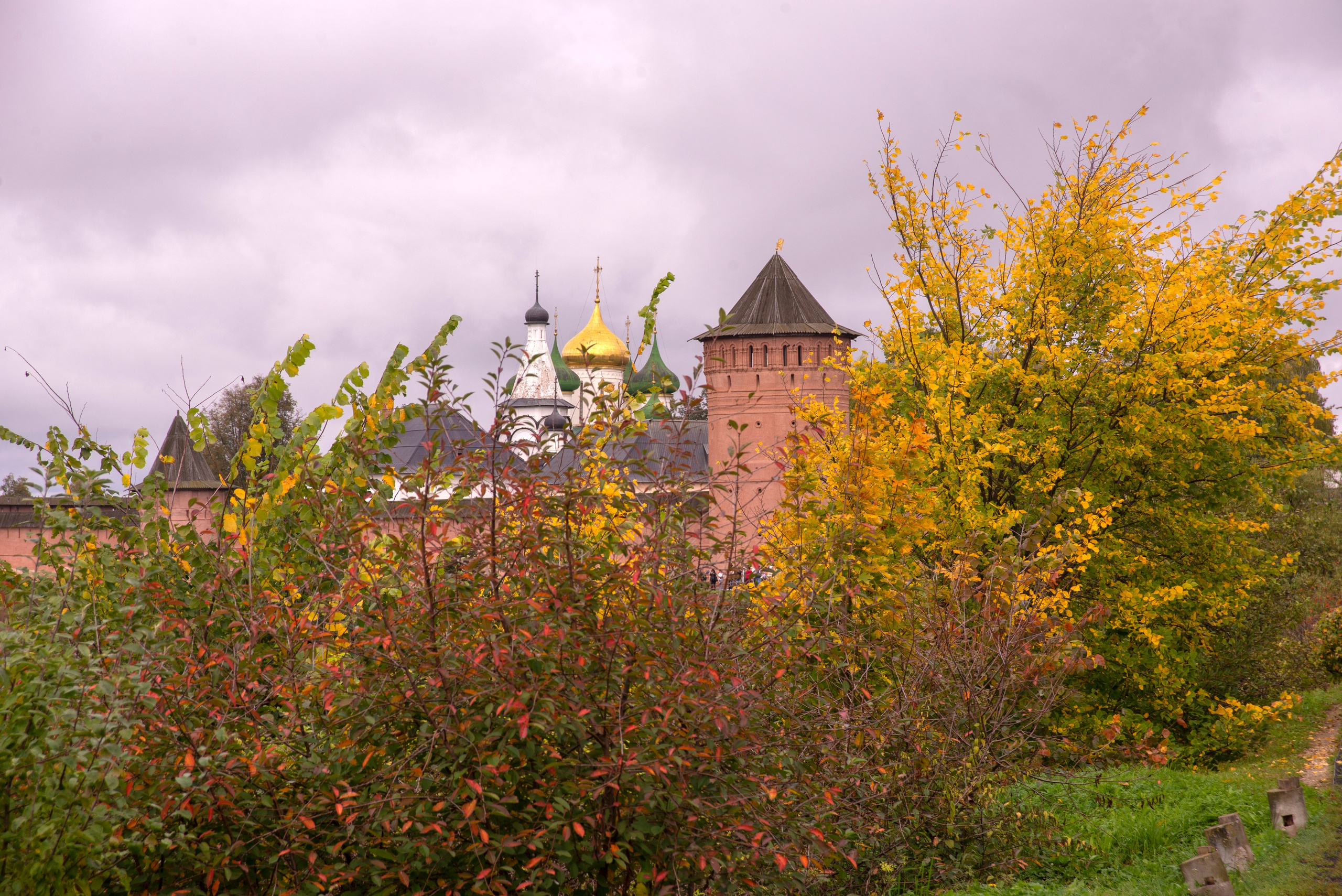 Суздаль. 20 сентября 2025. Игорь Жучков. Россия увиденная глазами путешествующего фотографа