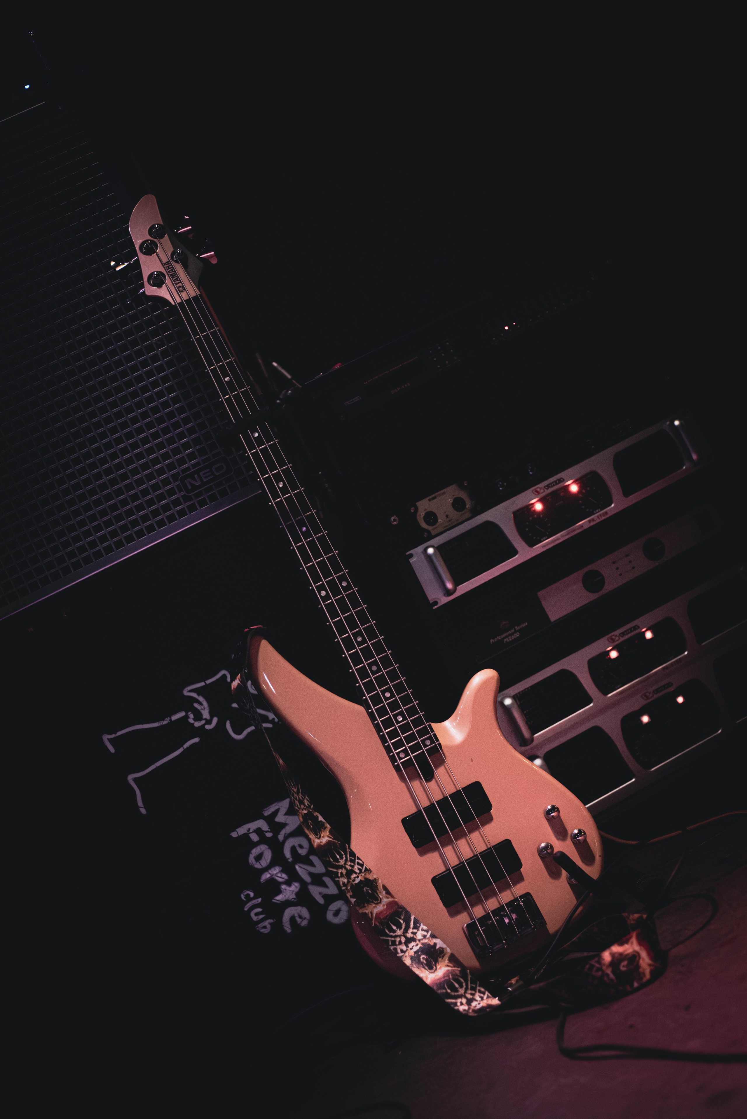 Antarctic (10 ноября 2024 года, Москва, клуб Mezzo Forte). Фотограф Светлана Блинова, Москва и Московская область