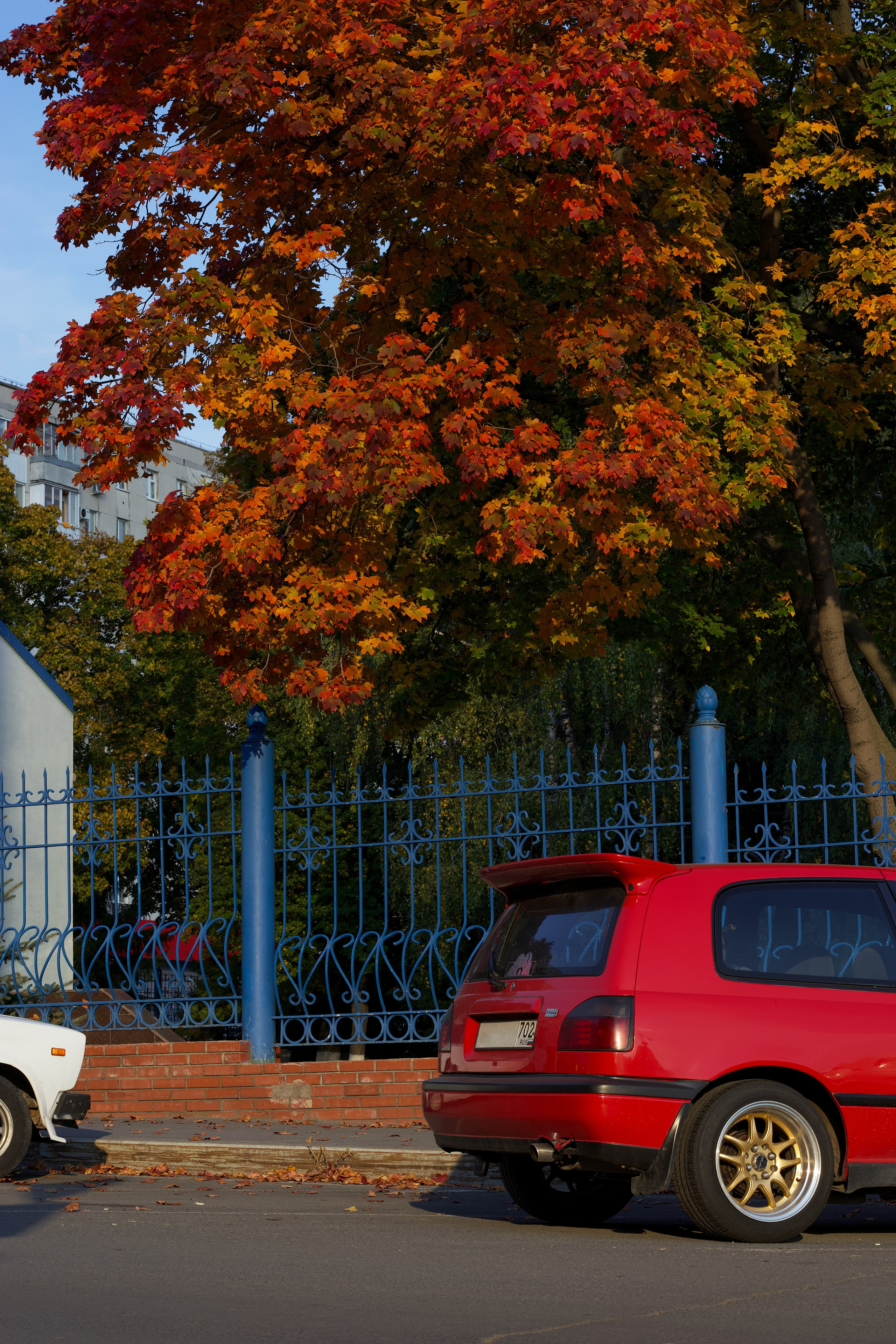 Авто-фотография. Pupov.png