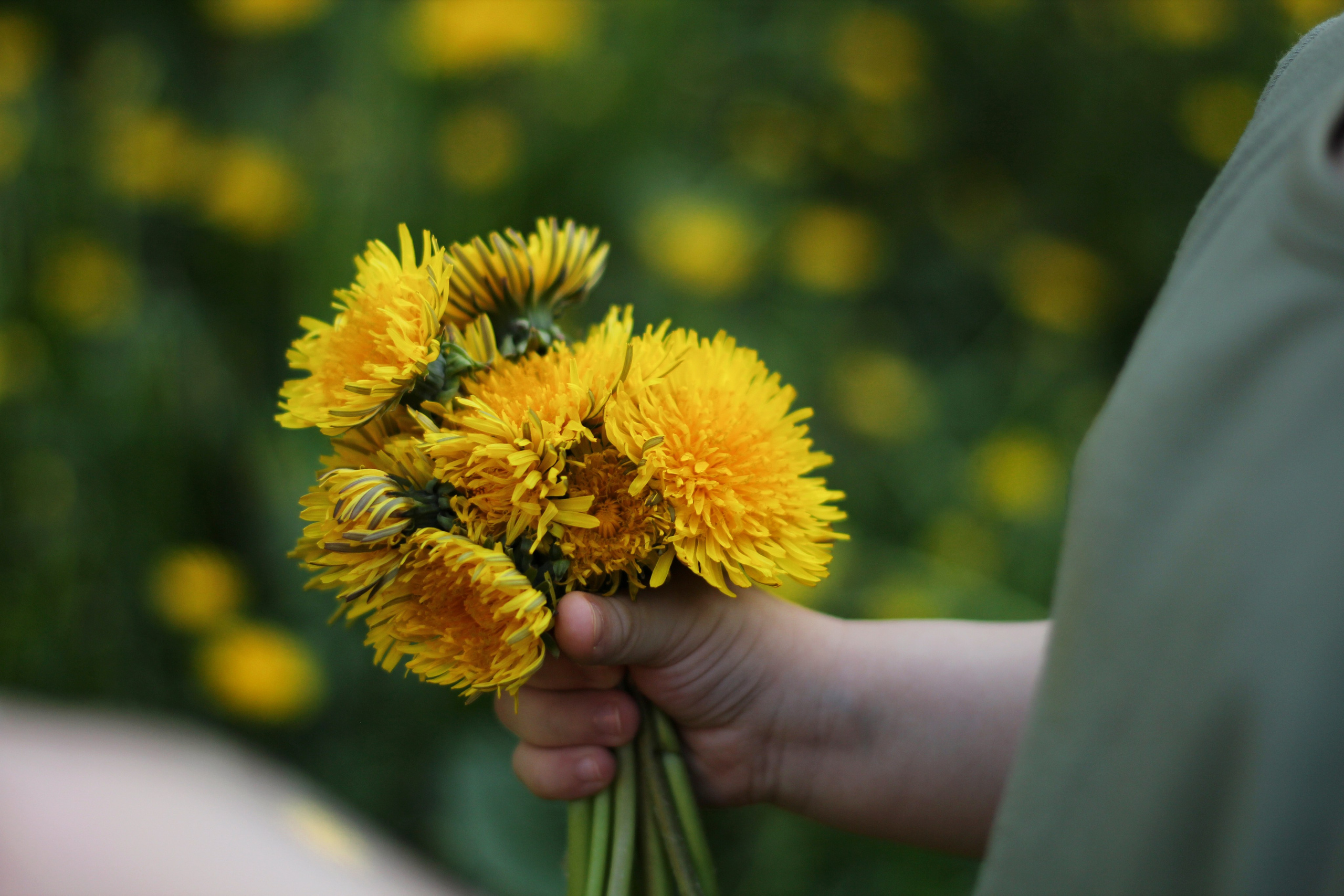 Детская фотография. Семейный и детский фотограф в Москве Анастасия Крейнина