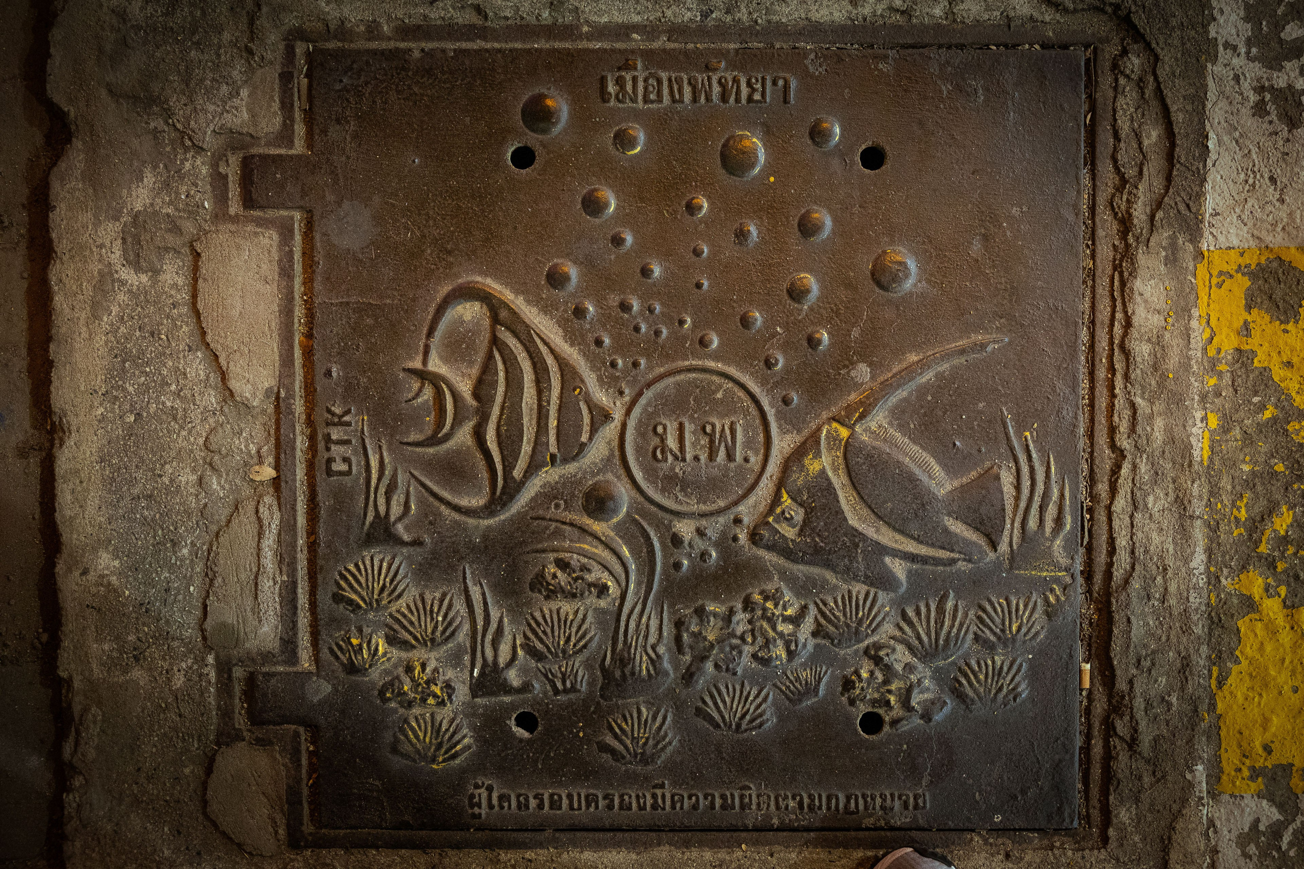 Таиланд (зима 2025). Фотограф Виноградов Константин