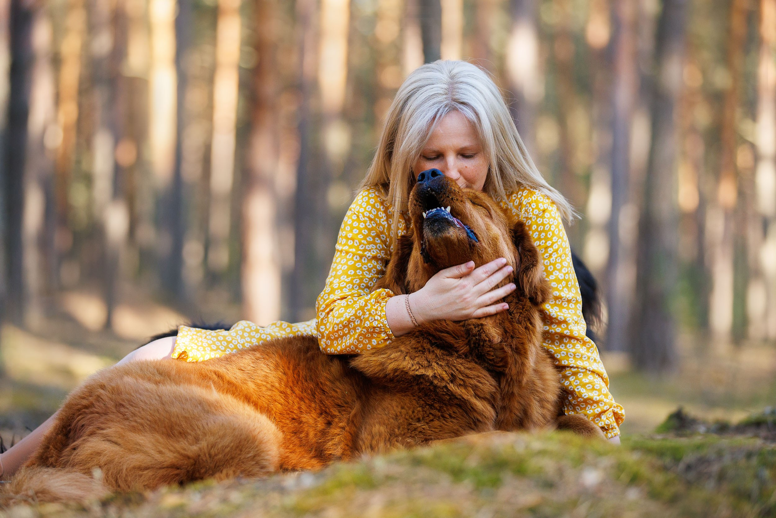 Фотосессия с тибетскими мастифами и бишон фризе. Фотограф-анималист в Москве и Московской области Татьяна Фролова