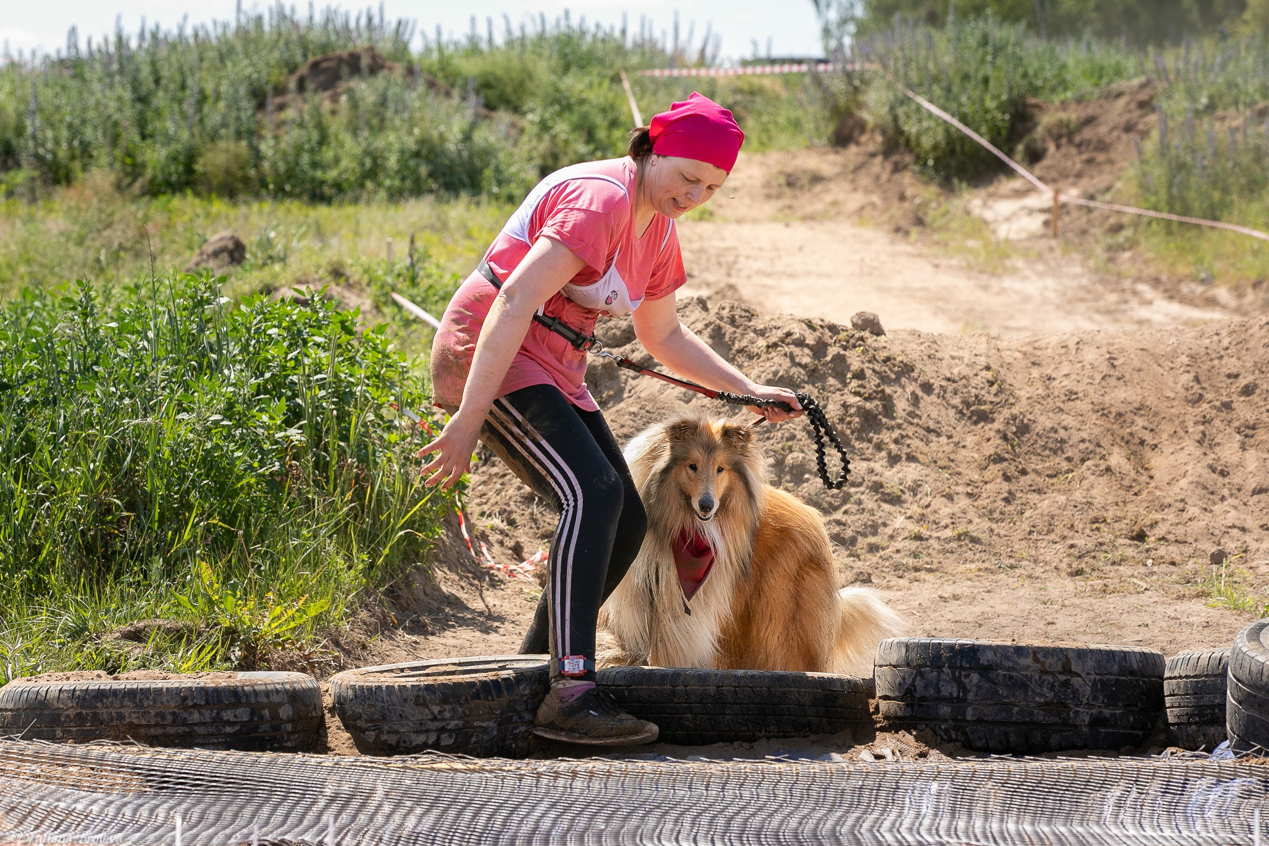 Фоторепортаж с забега с собаками. Фотограф-анималист в Москве и Московской области Татьяна Фролова
