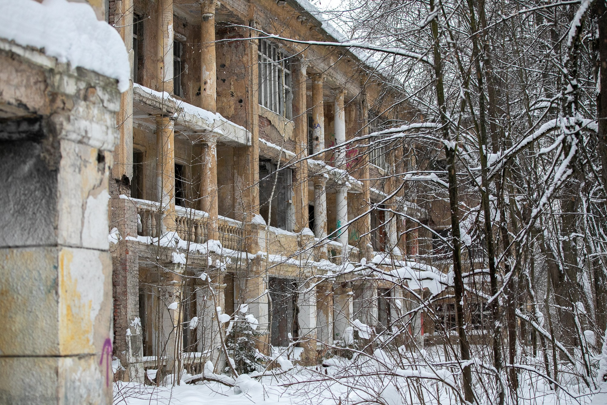 Фотосъемка похода с собаками в Московской области. Фотограф-анималист в Москве и Московской области Татьяна Фролова