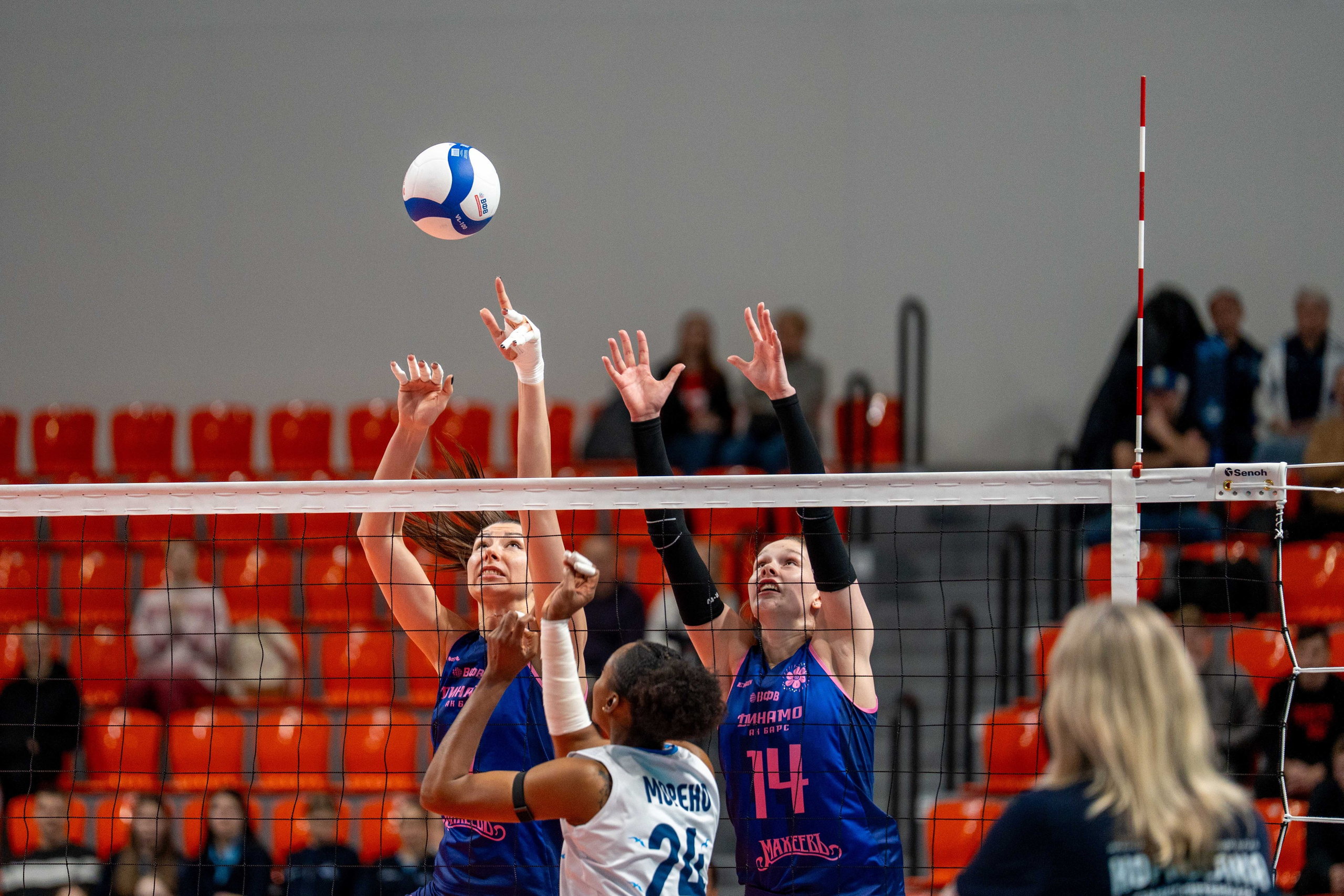 Корабелка — Динамо-Ак Барс (Казань): фотогалерея 15-го тура Суперлиги 2025/26 в Санкт-Петербурге | Антон Гауф. Спортивный фотограф в Санкт-Петербурге | Антон Гауф