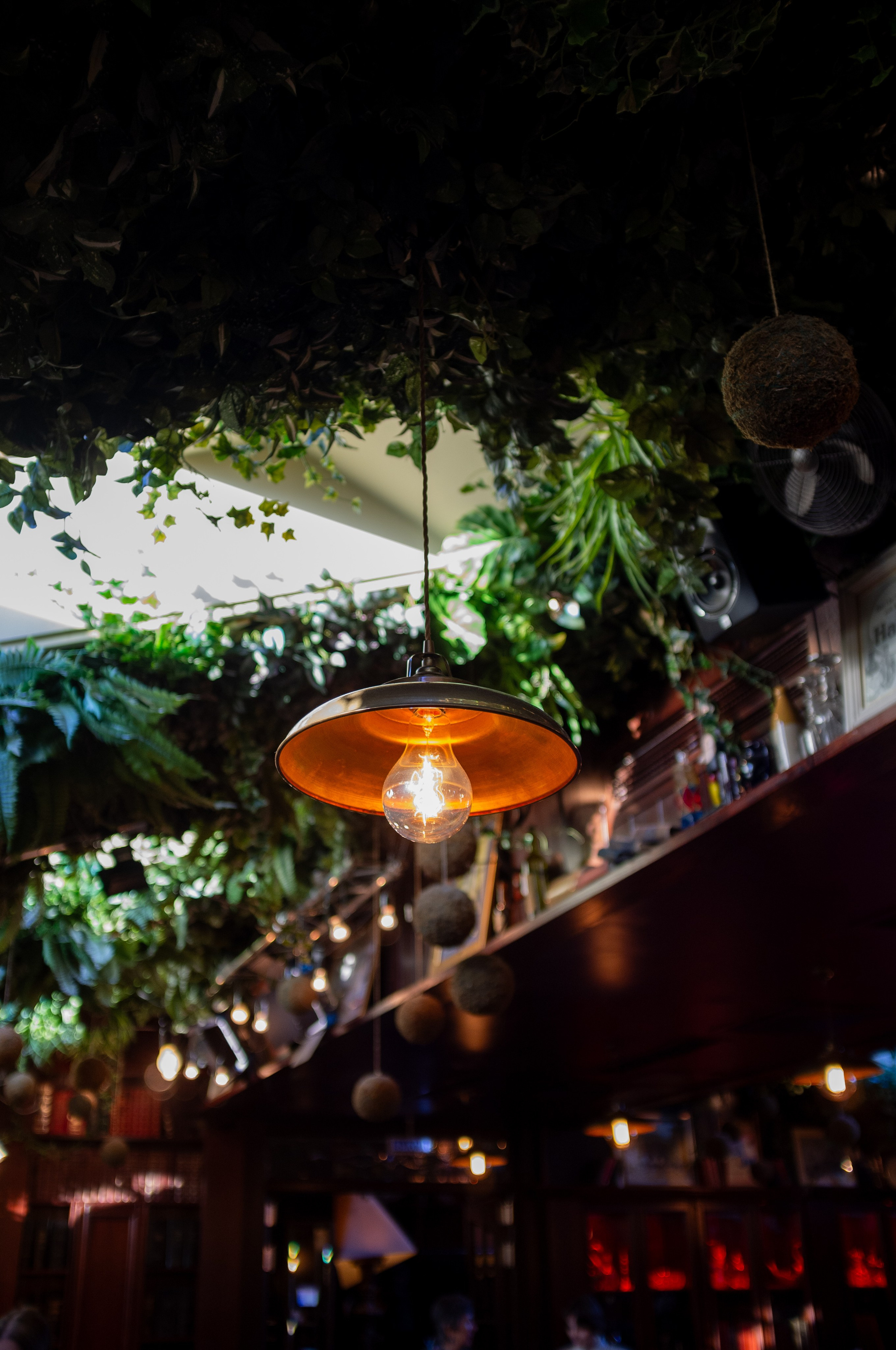 Джаз-клуб Kozlov club. Мансарда. Искусство фотографии. Мария Осокина