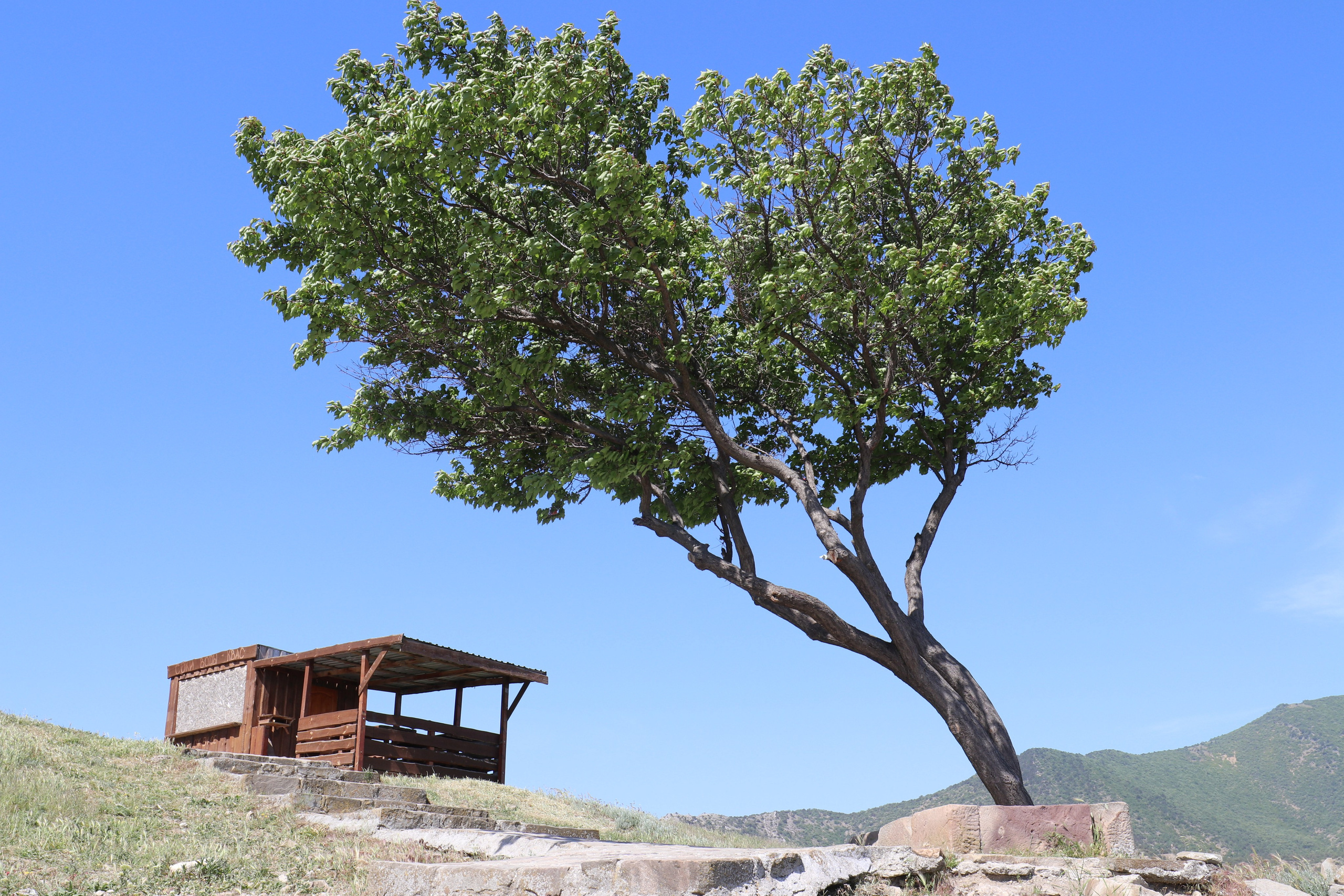 Крым. ЮБК (Бахчисарай, Демерджи, Судак). Первый скалолазный выезд. Май 2019. Путешественник-фотограф из Санкт-Петербурга Татьяна Свистулина