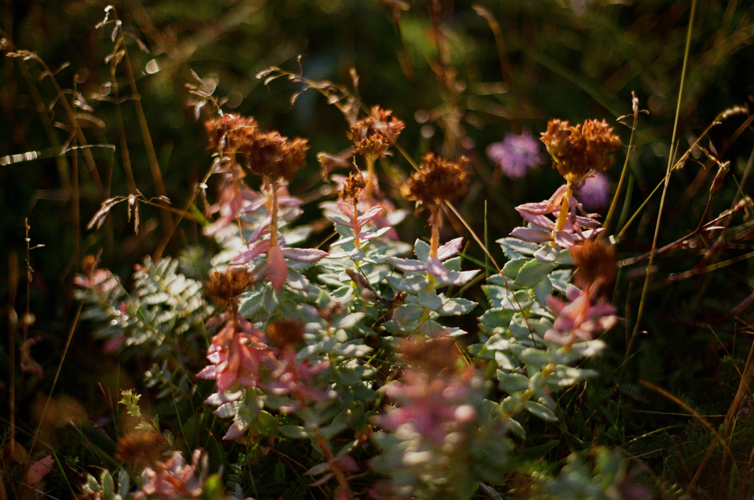 High and dry // kola peninsula. EVER EXPOSED
