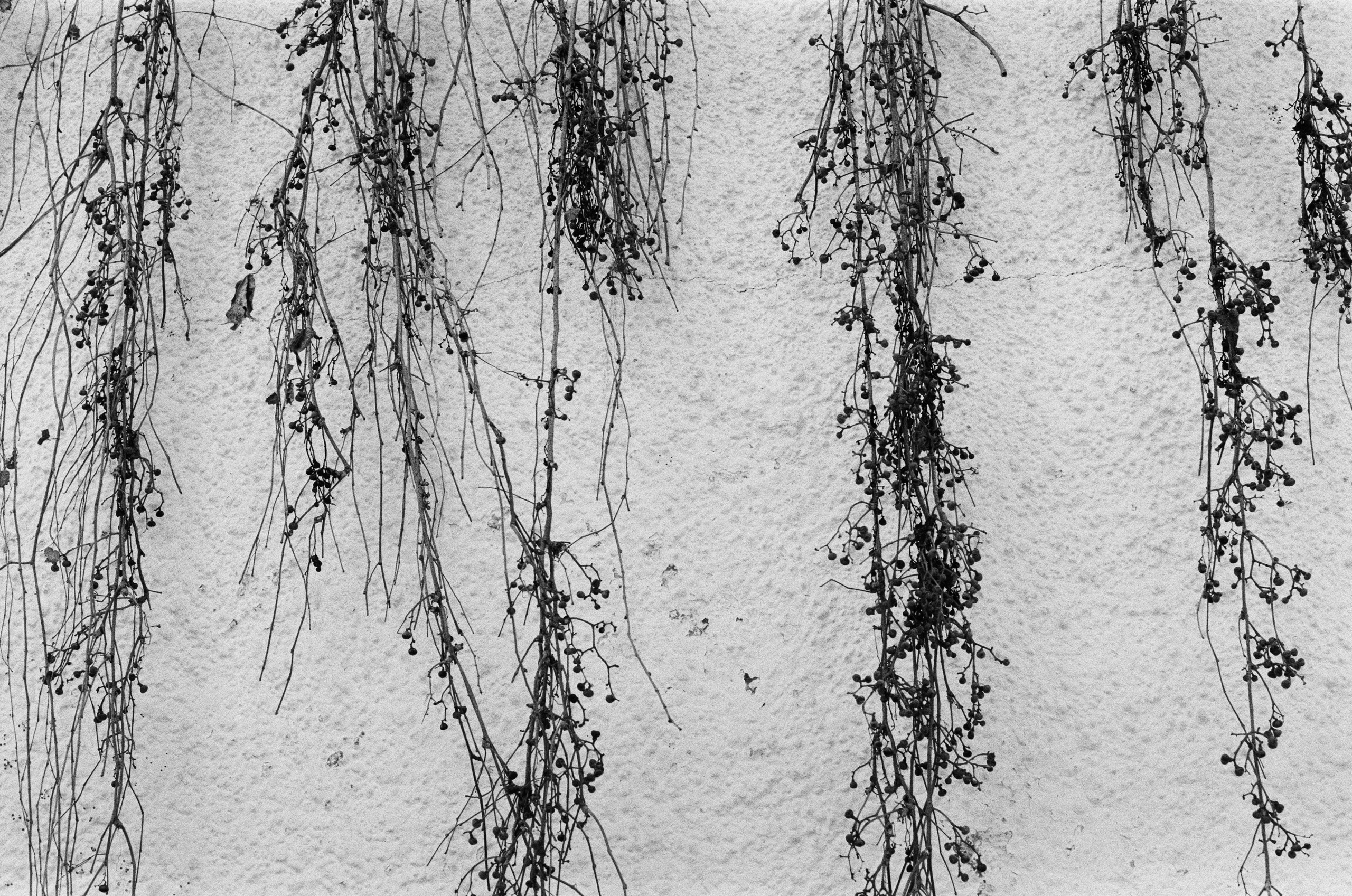 Spanish sahara // spain, granada. EVER EXPOSED