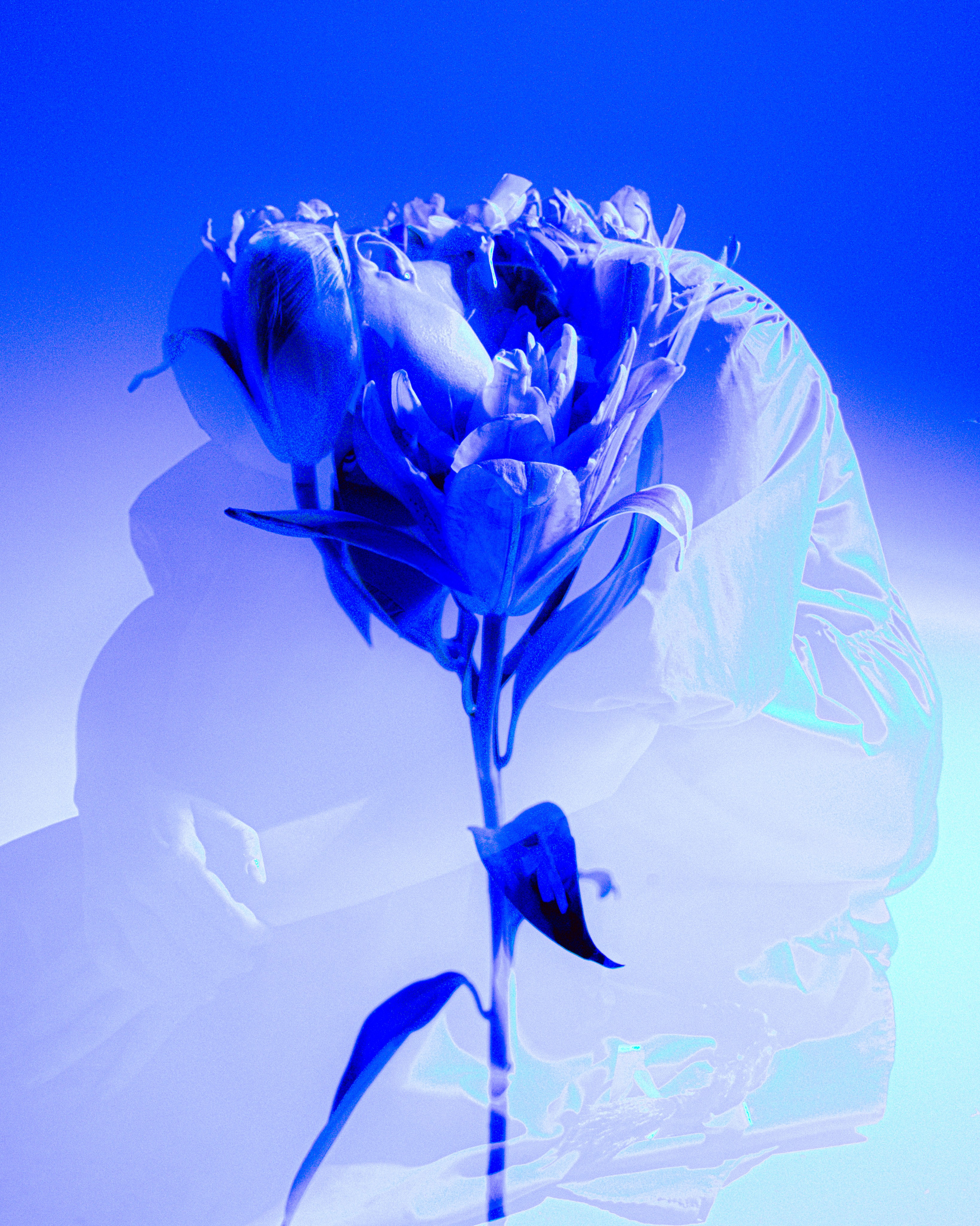 Sofa. Блиновская Дарья|Арт-фотограф