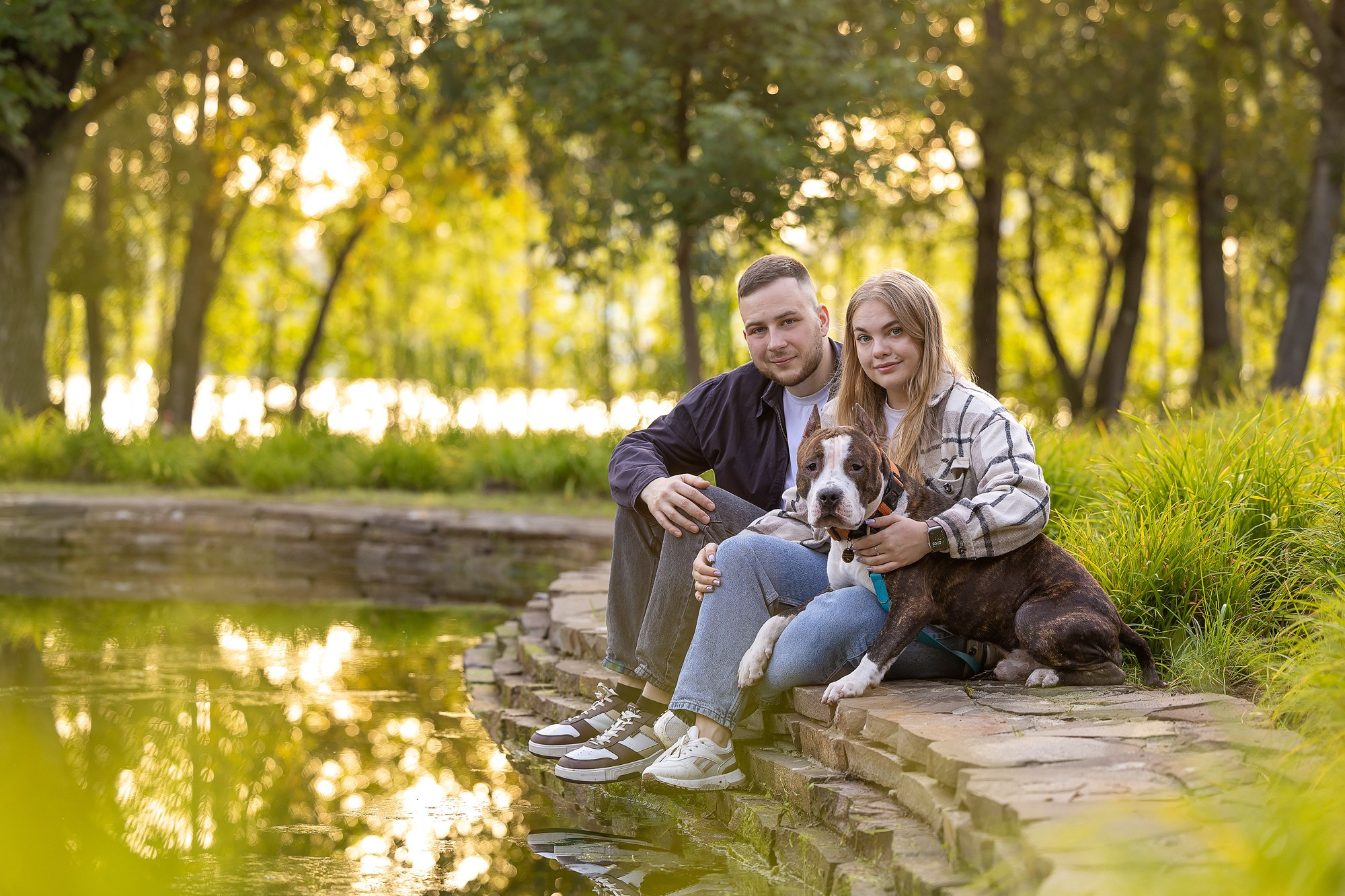Амстафф Честер и его семья. Фотограф-анималист Natalia Deingel | Фотосъемка собак в Москве