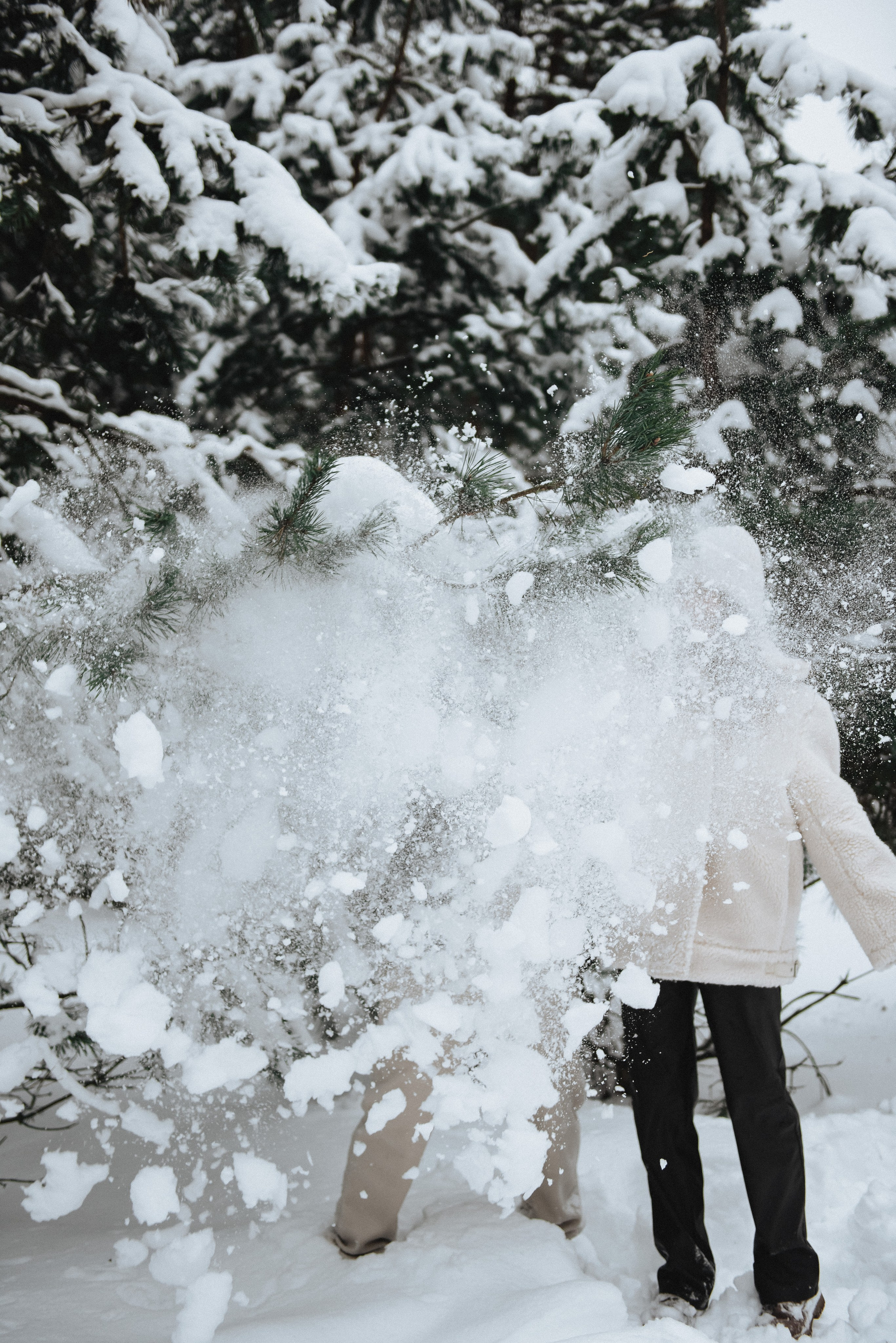 В лесу. Фотограф Родионова Екатерина в Москве и Оренбурге