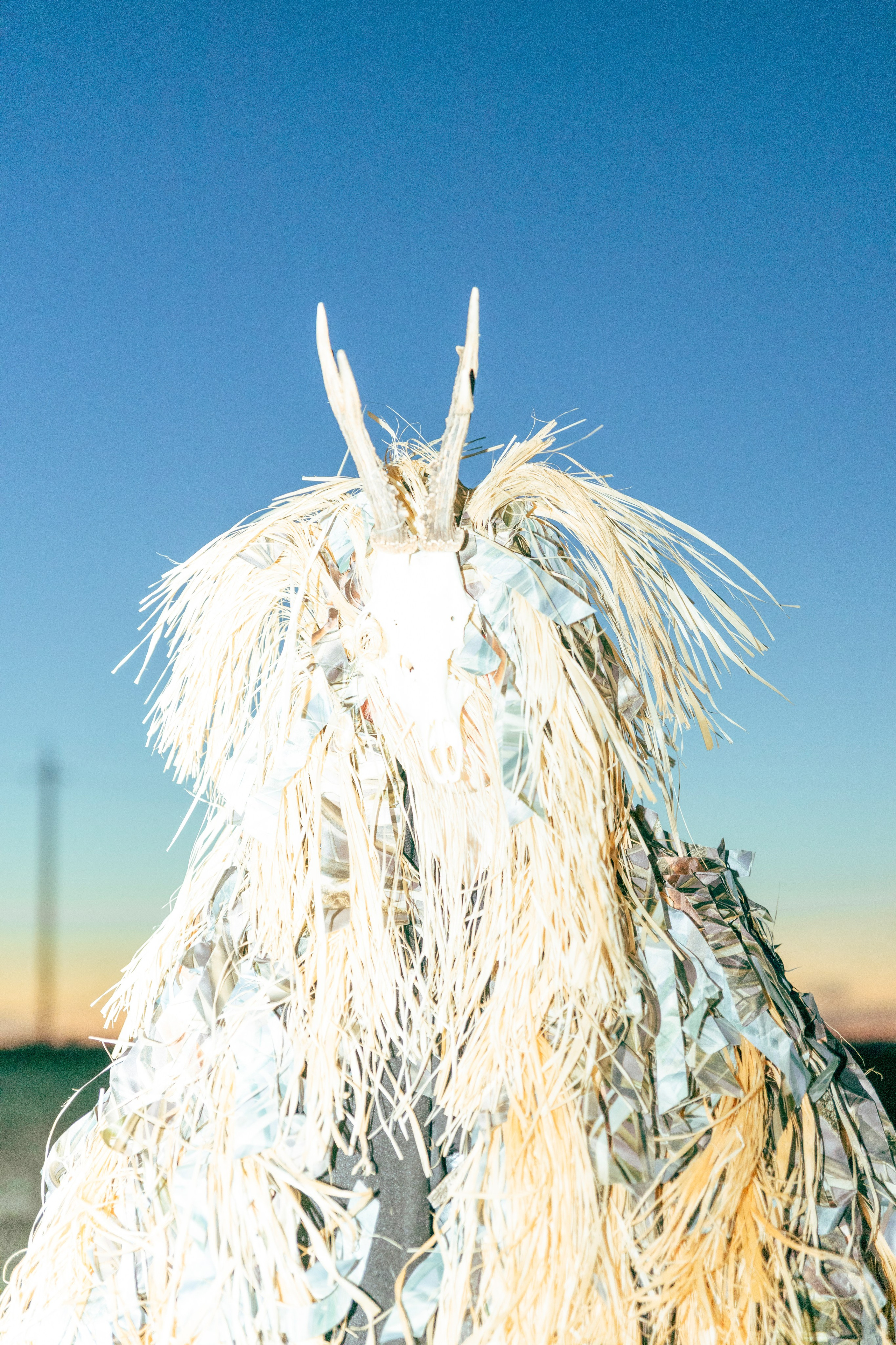 Настя Halloween. Фотограф Анастасия Горлач в Калининграде