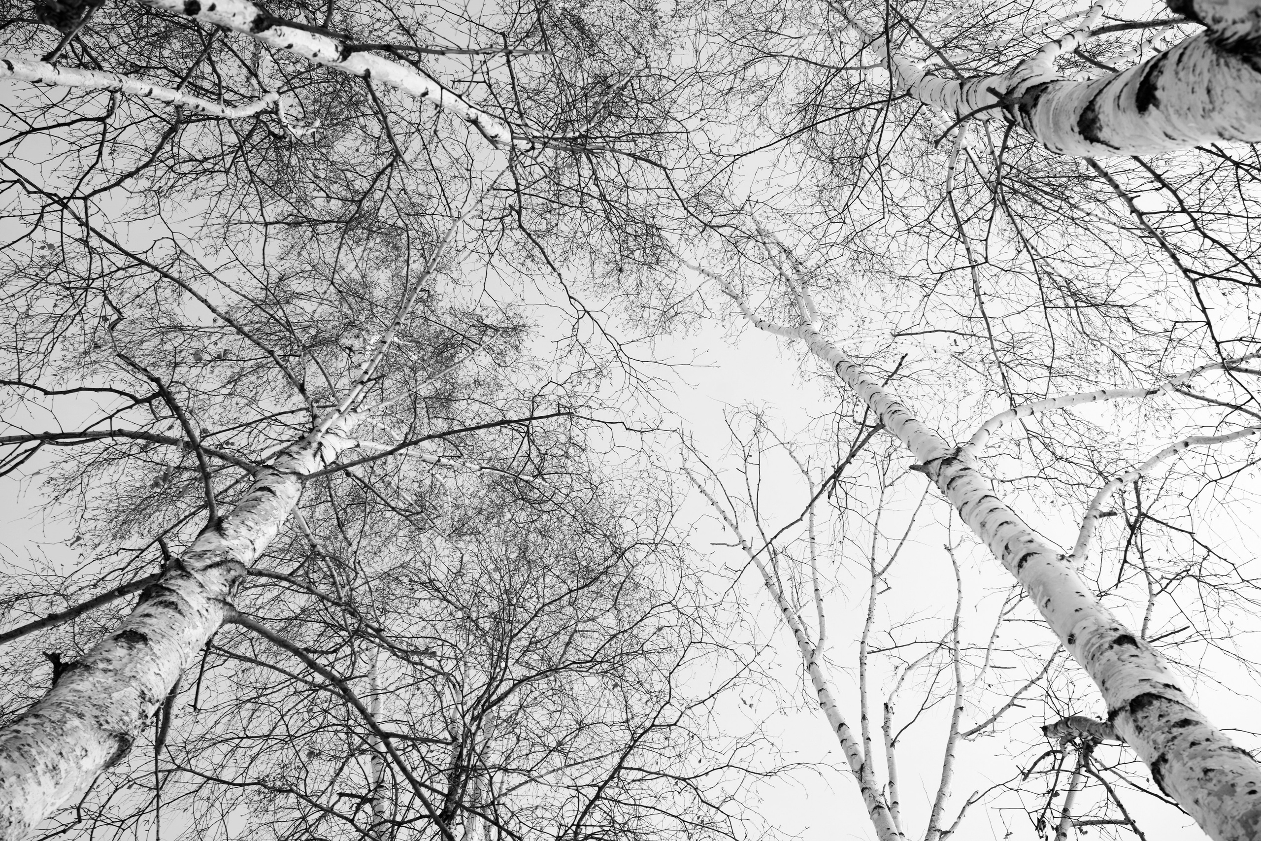 HOME (ongoing project). Photographer Дарья