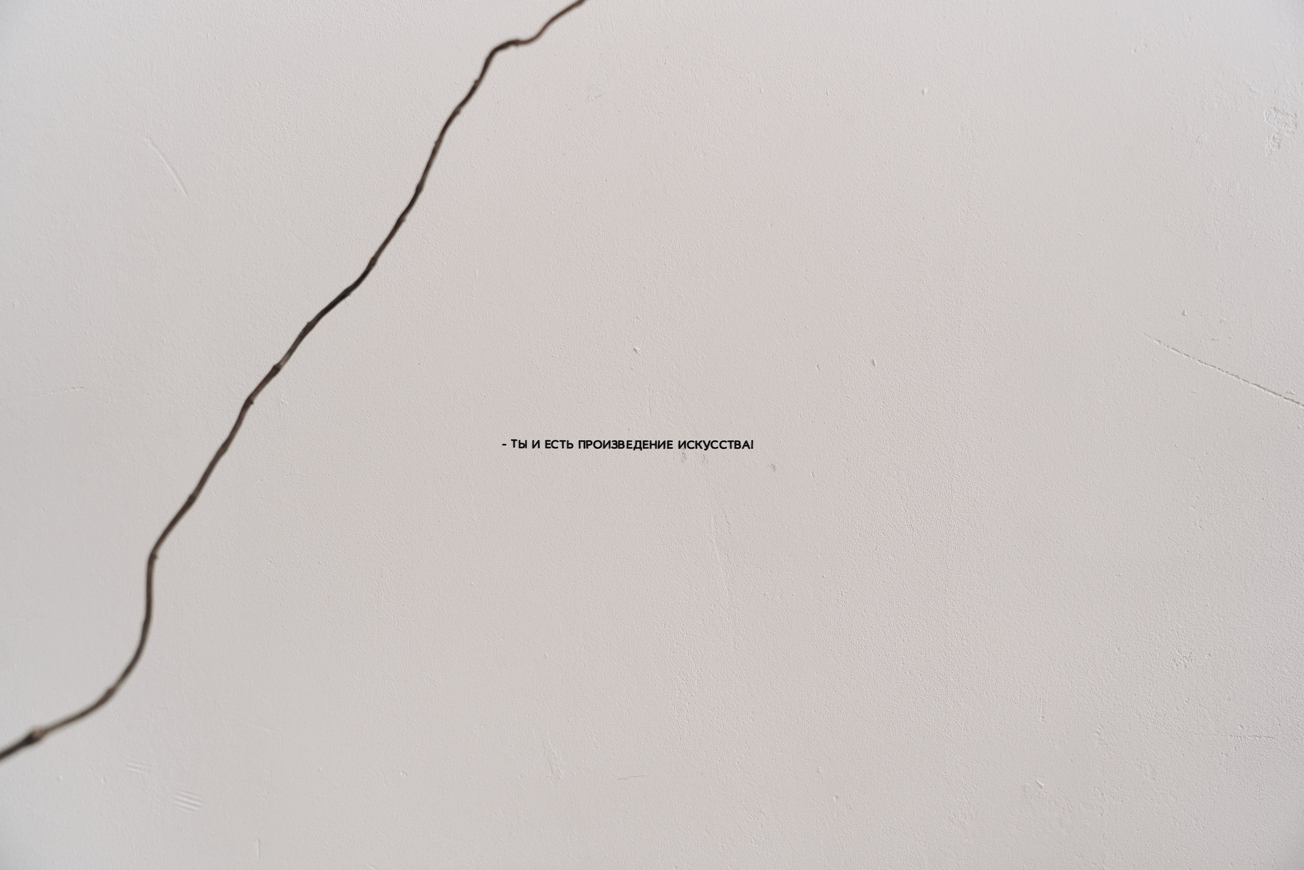 Марат & Саша. Ваш фотограф Анастасия Болотникова