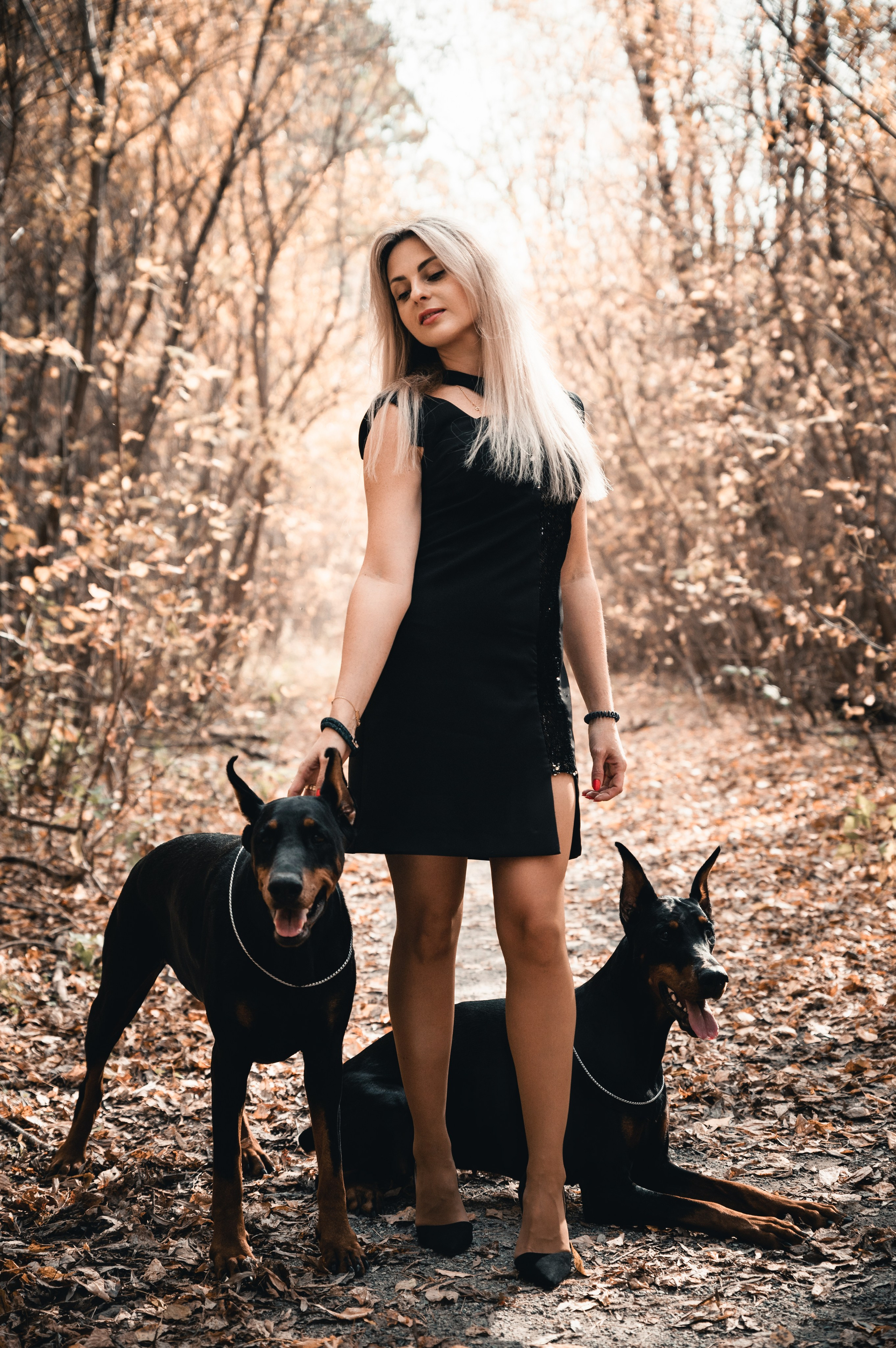 Съемка с доберманами. Фотограф в Новосибирске