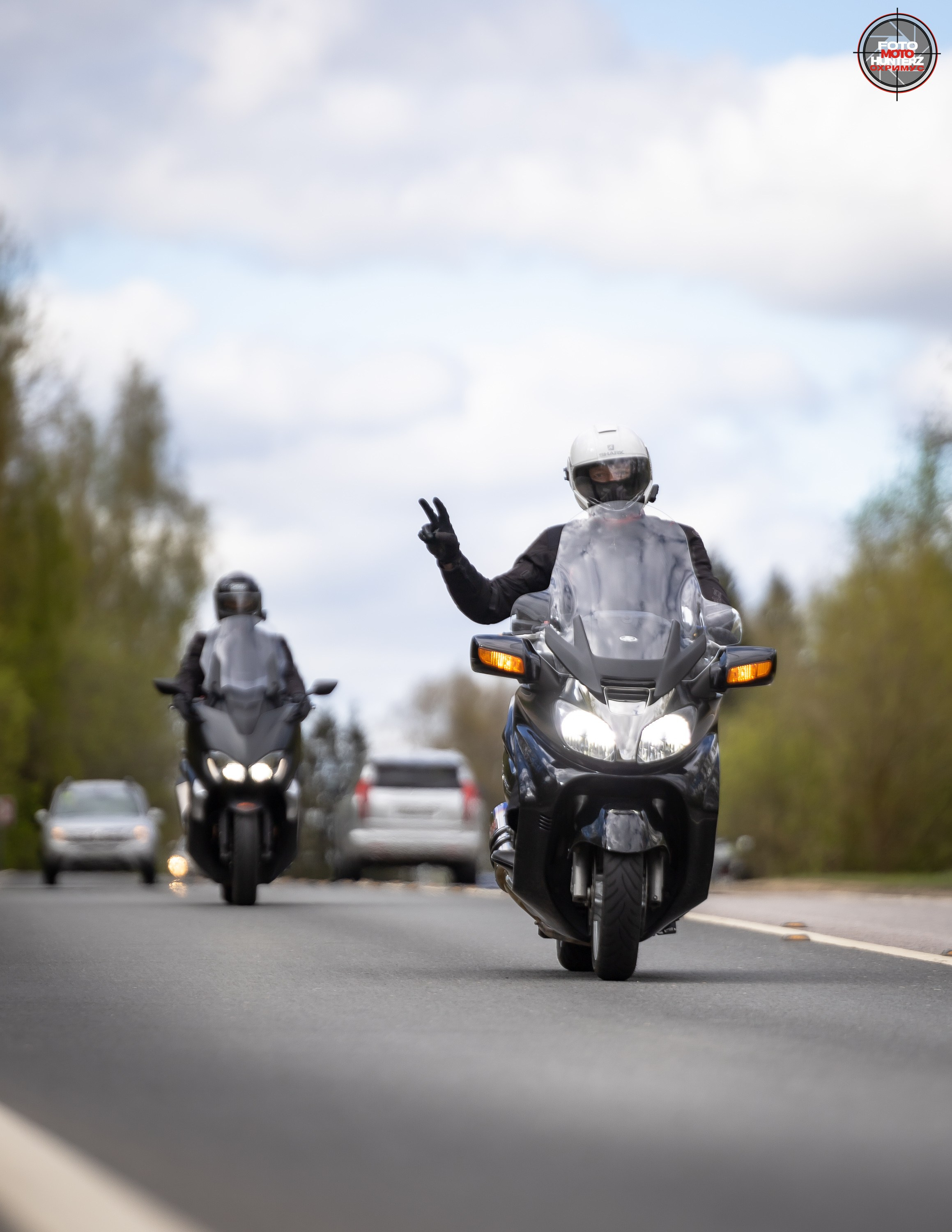 Первое Сафари в 2025 г. на Рогачевском ш. Фотограф Владимир Охрименко