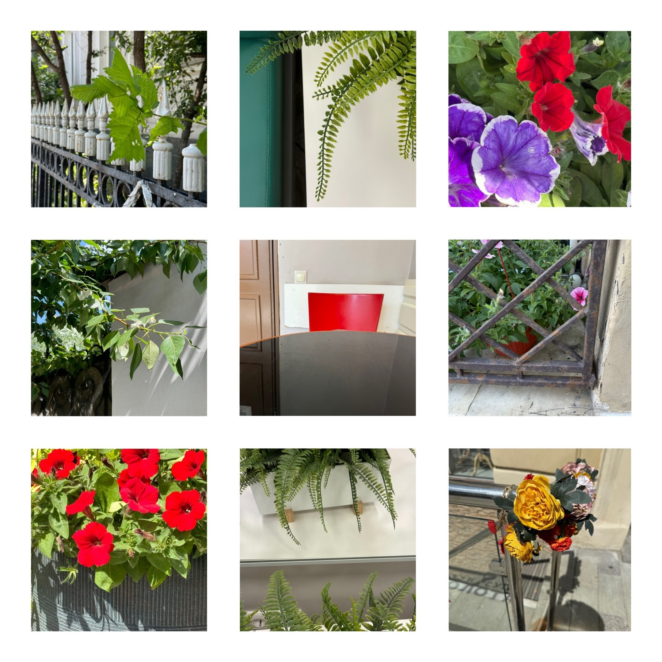 Коллажи. Свадебный фотограф в Москве Сафонова Анна