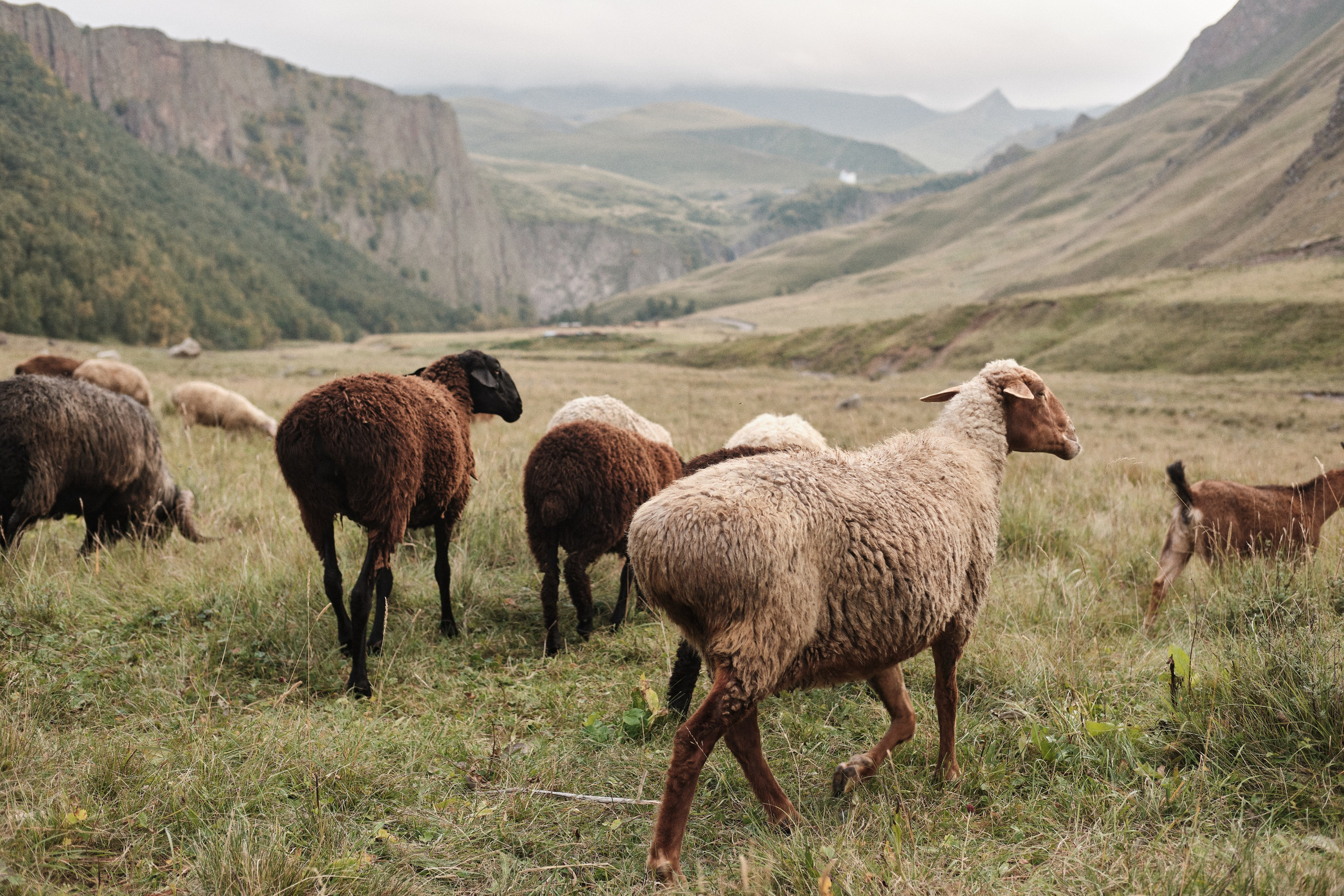 Фотограф в Анапе и Краснодаре Тина