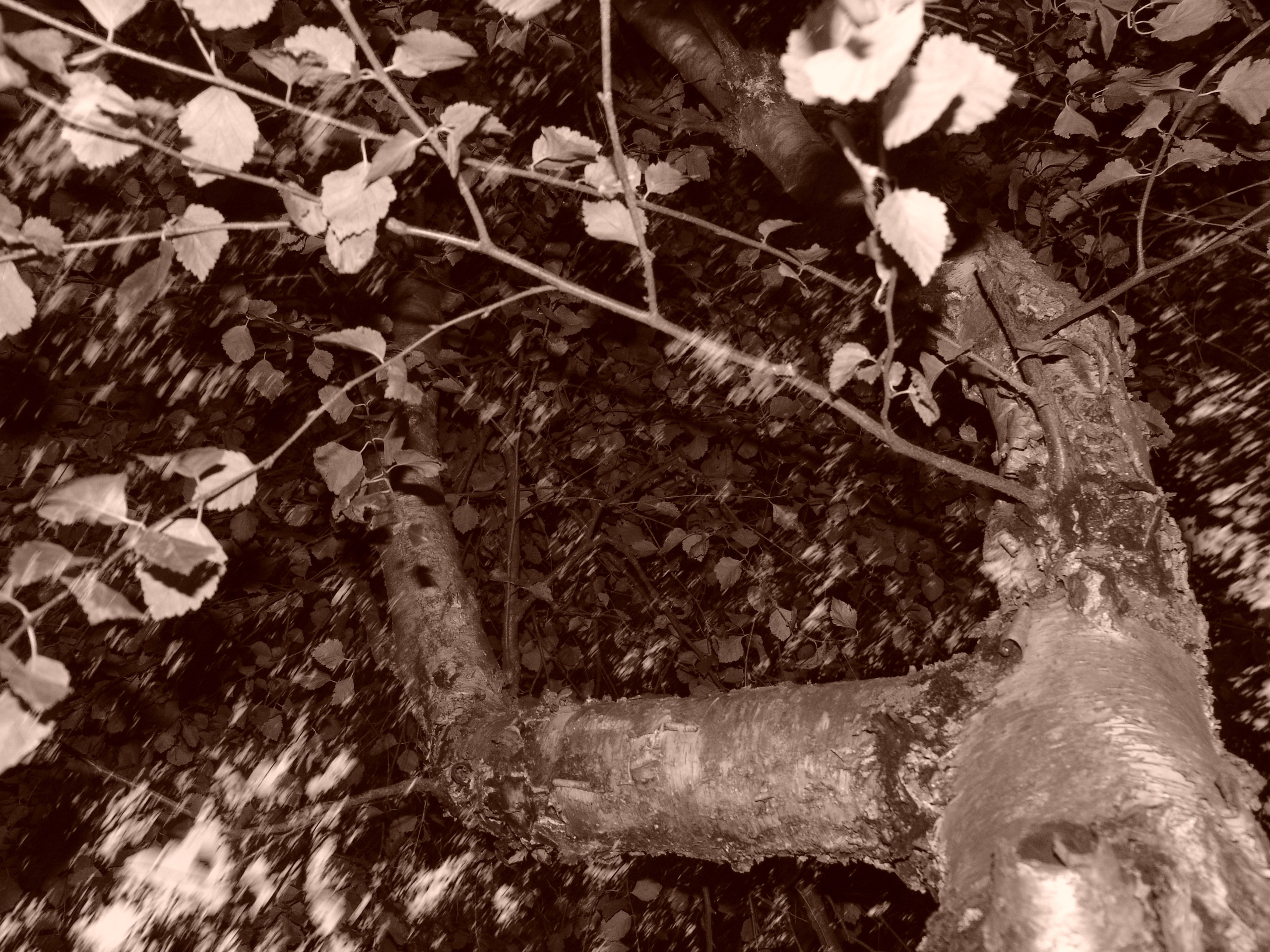 Ергали 11 08 2005. Заставка