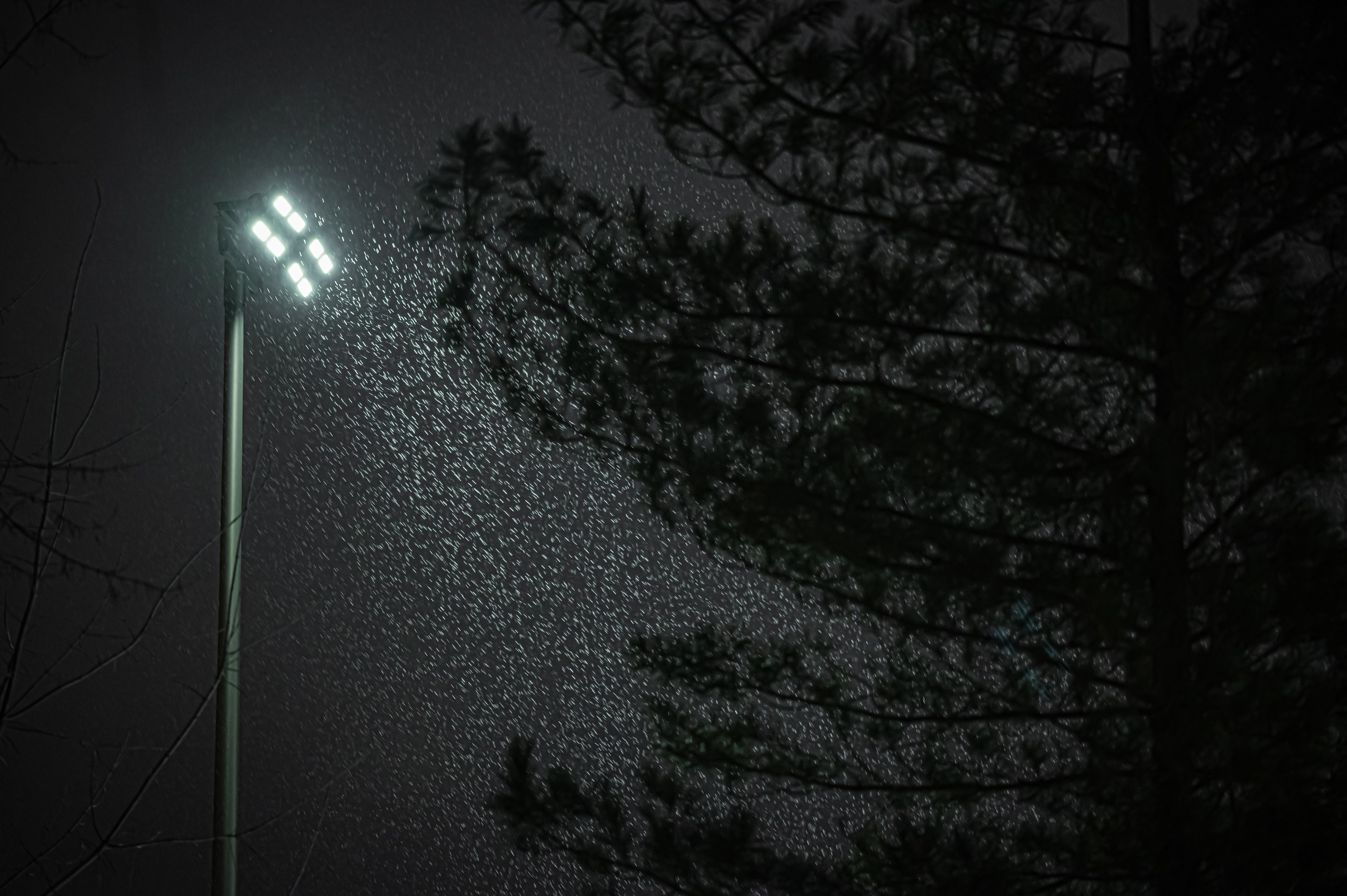 Снегопад. Репортажный фотограф