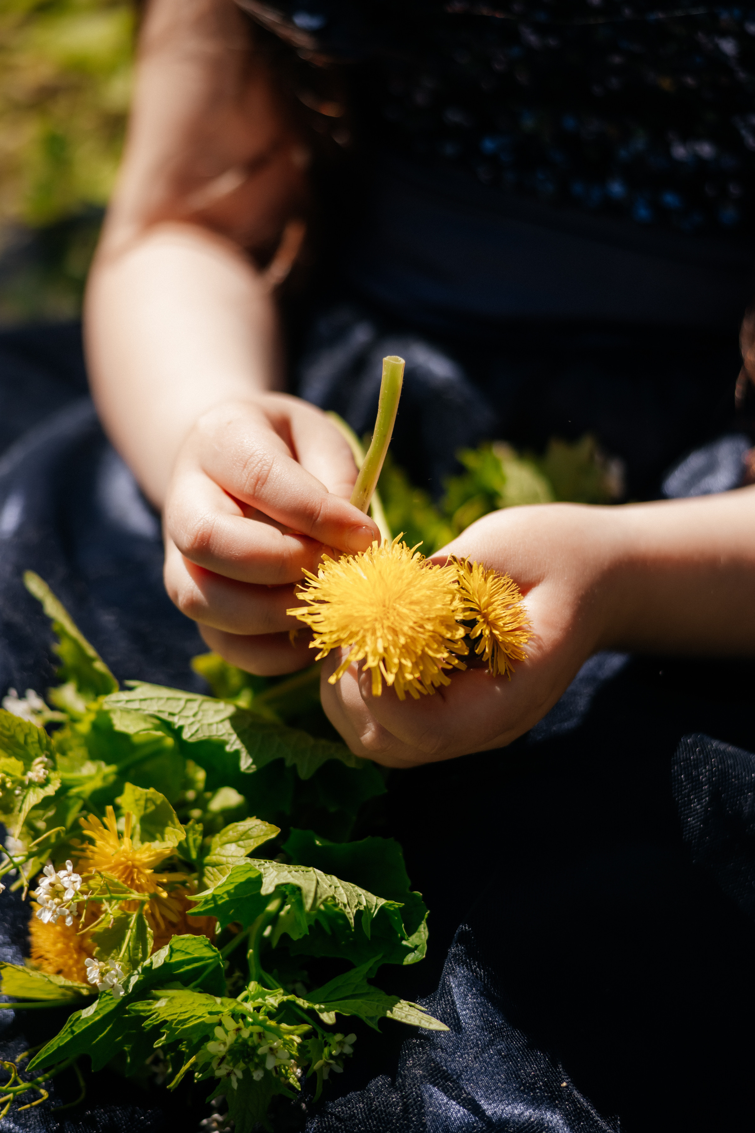Семейная прогулка в парке. Ольга Плаксина фотограф в Саратове