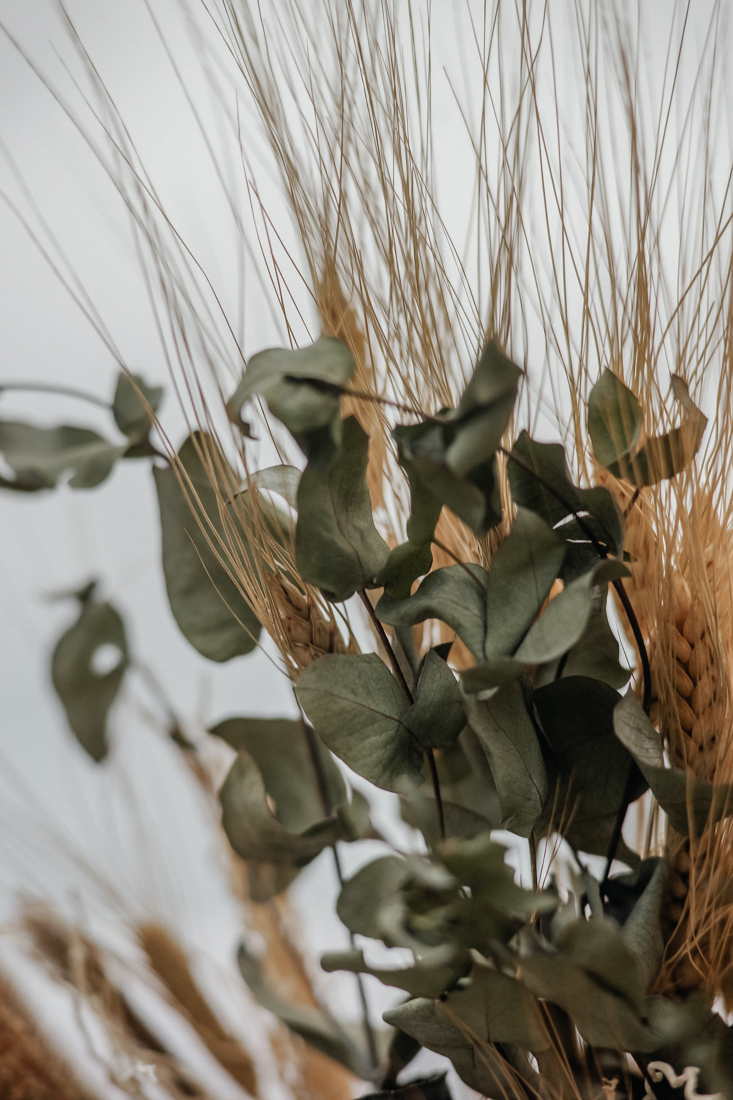 Михаил и Анна. Ольга Плаксина фотограф в Саратове