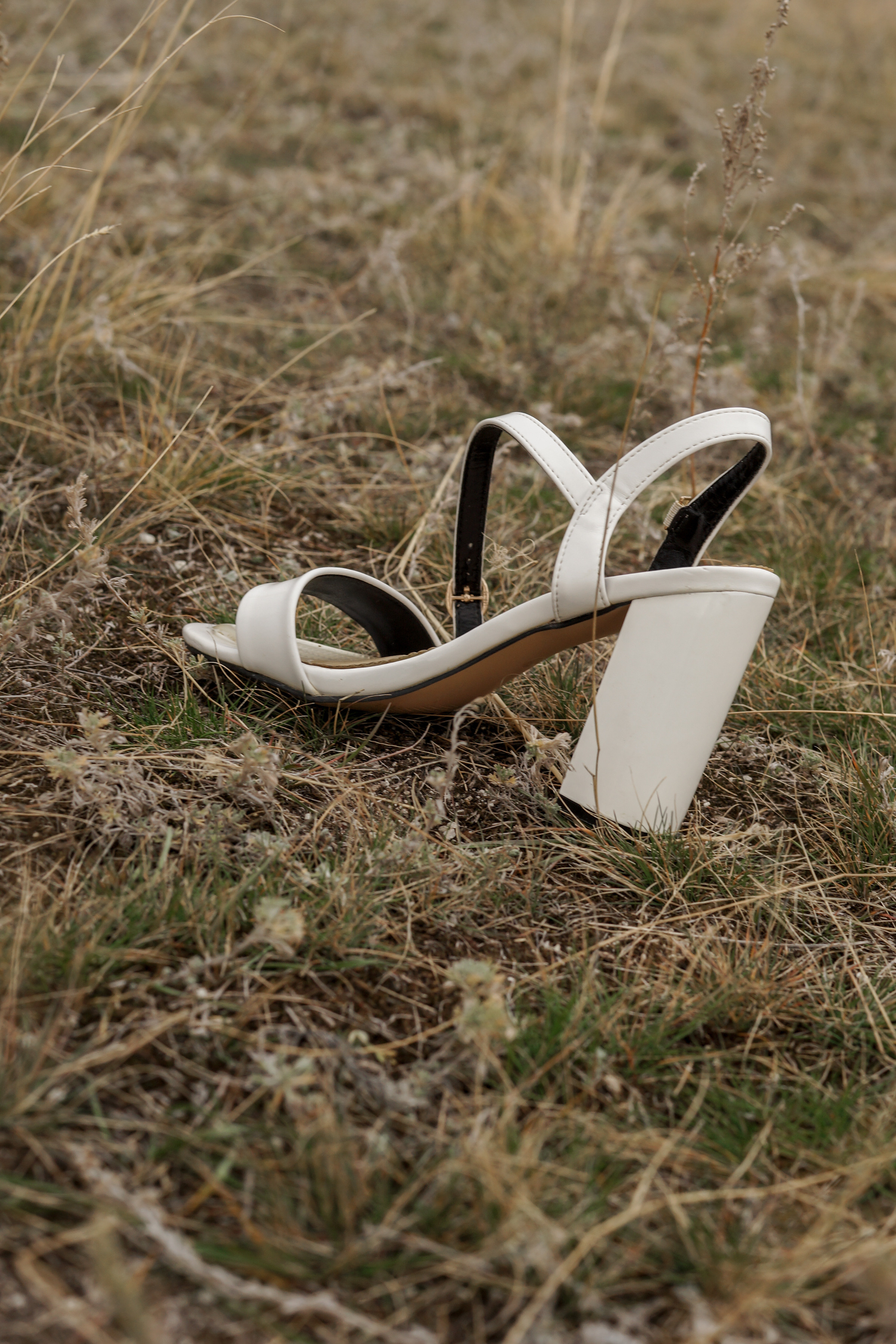 Михаил и Анна. Ольга Плаксина фотограф в Саратове