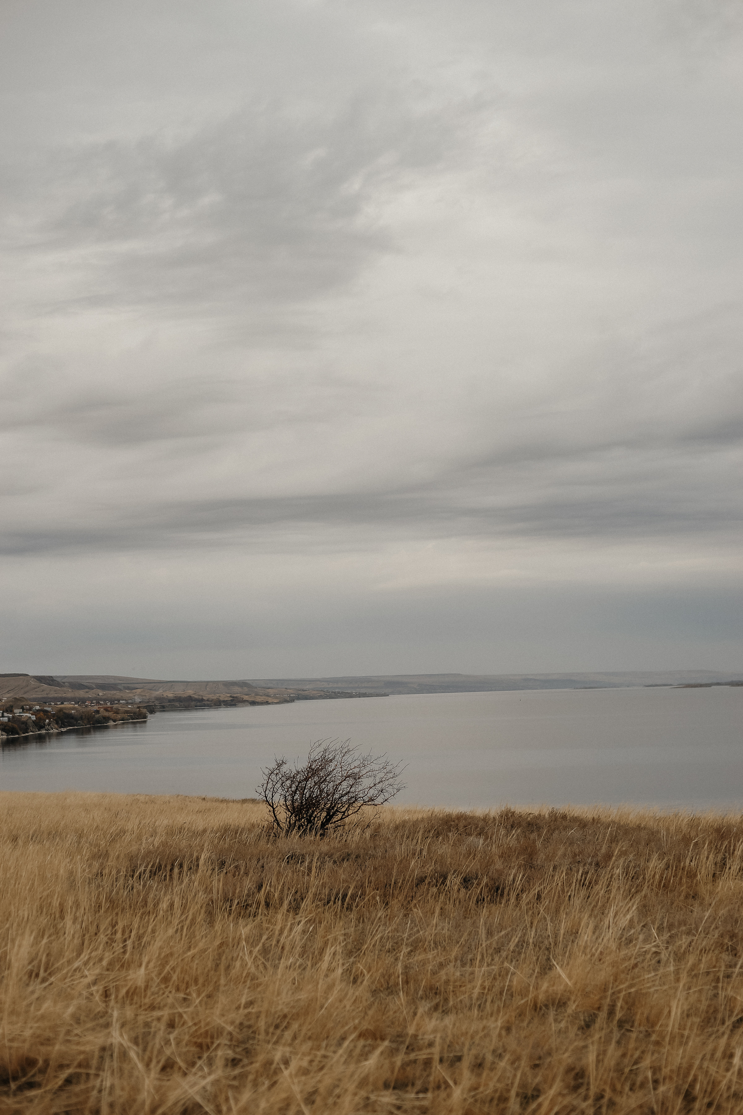 Михаил и Анна. Ольга Плаксина фотограф в Саратове