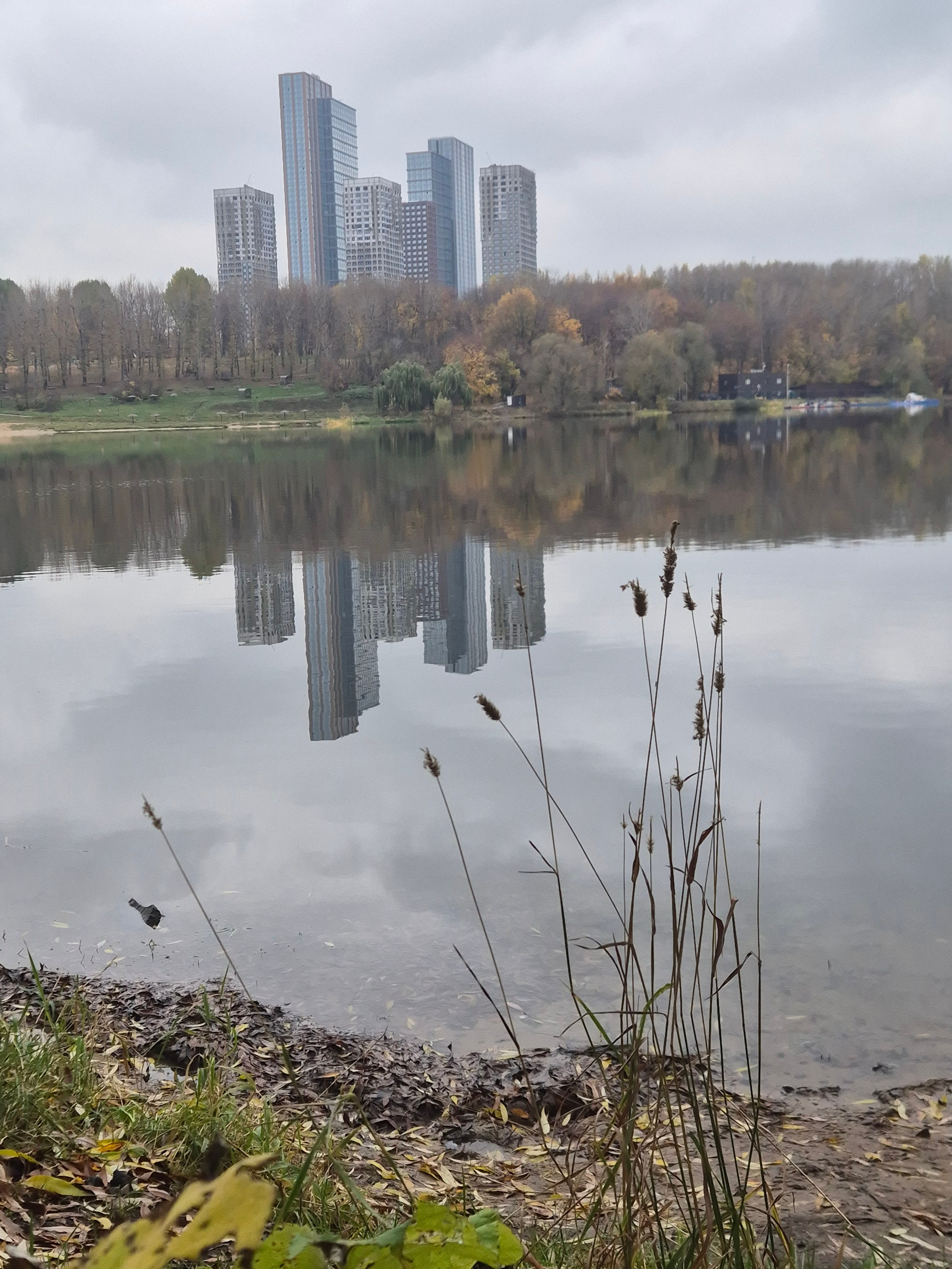 Где оазисы природы соседствуют с железобетонными коробками вполне гармонично