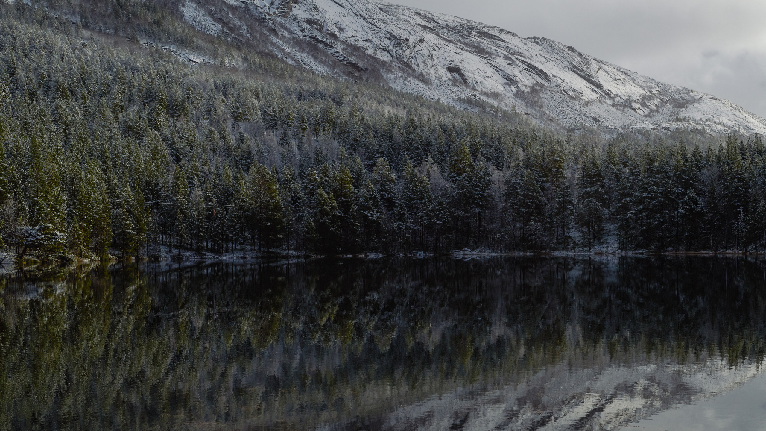 norwegian forest in mountains landscape photography Philip Butkin 