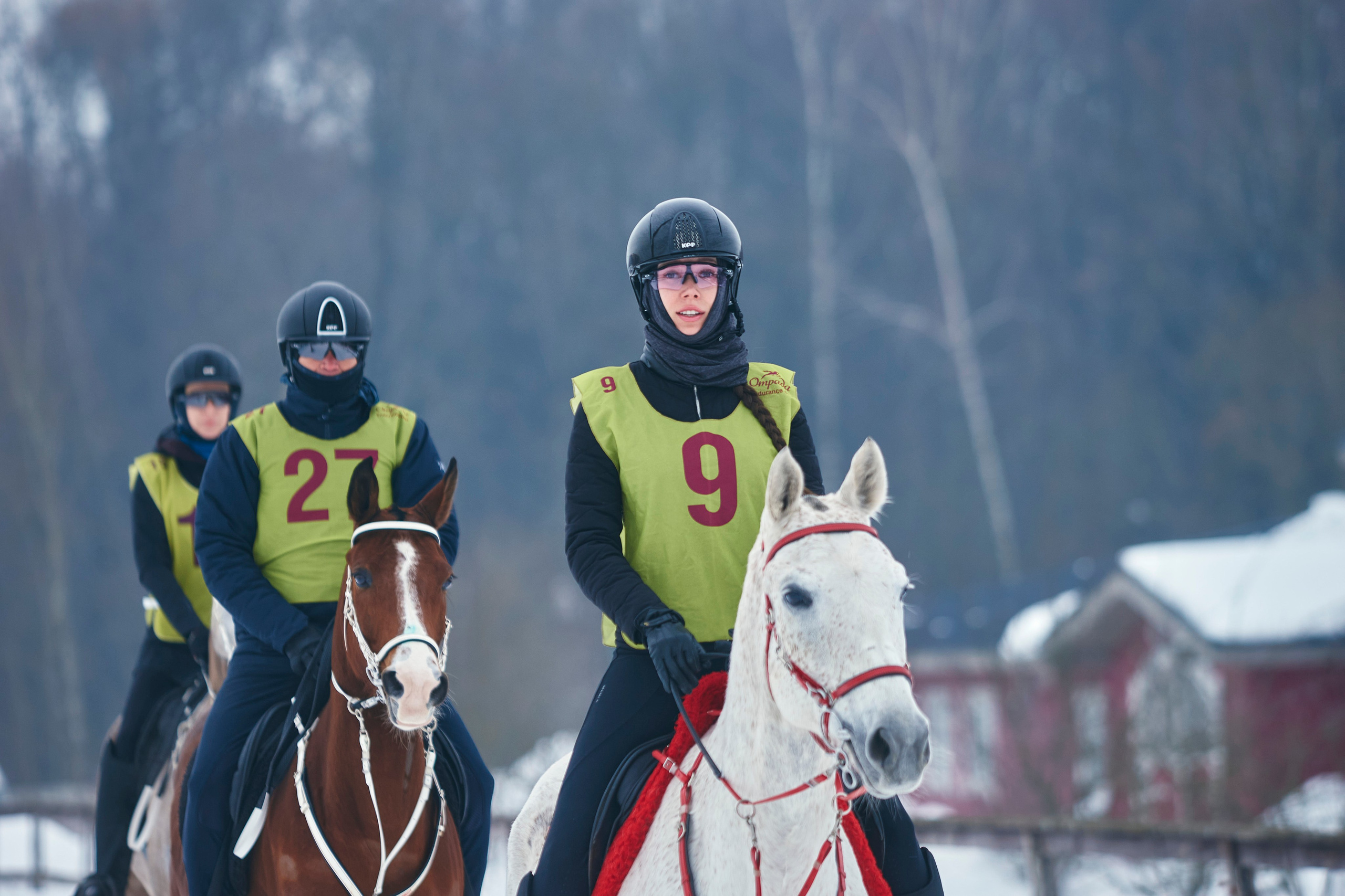 HORSE RACING. Фотограф Наталья Леонова