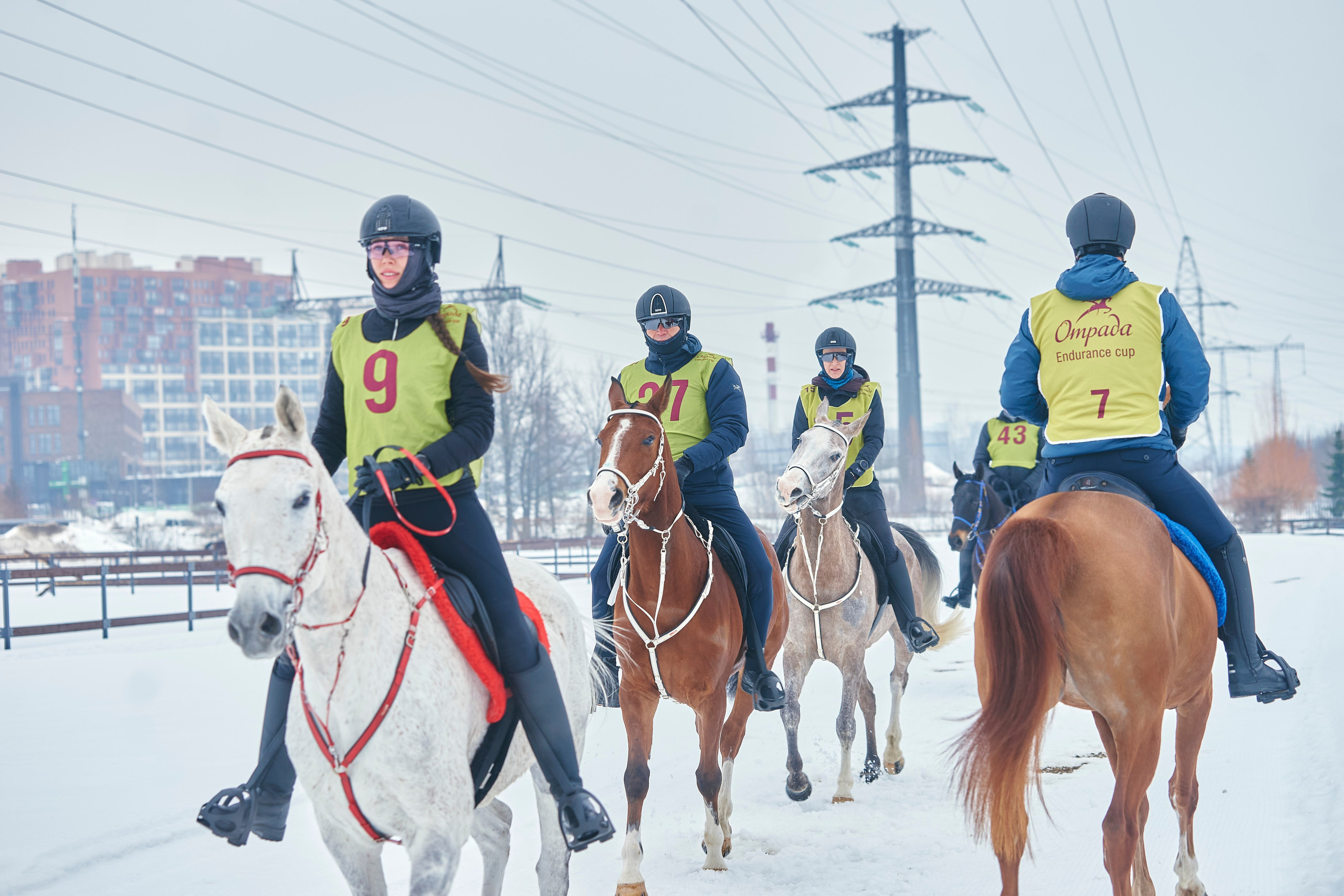 HORSE RACING. Фотограф Наталья Леонова