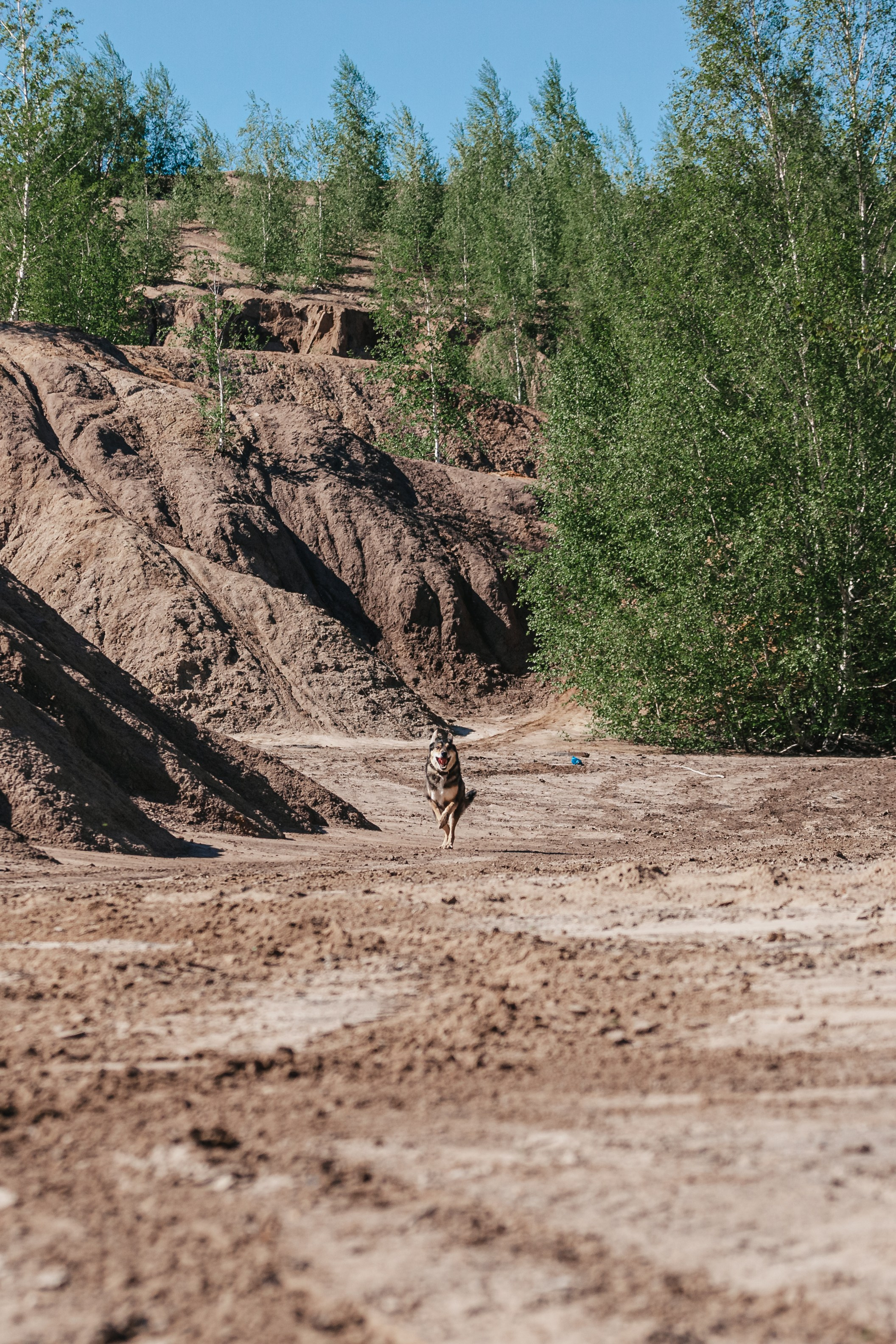 Кондуки. Фотограф-анималист Татьяна Степанова