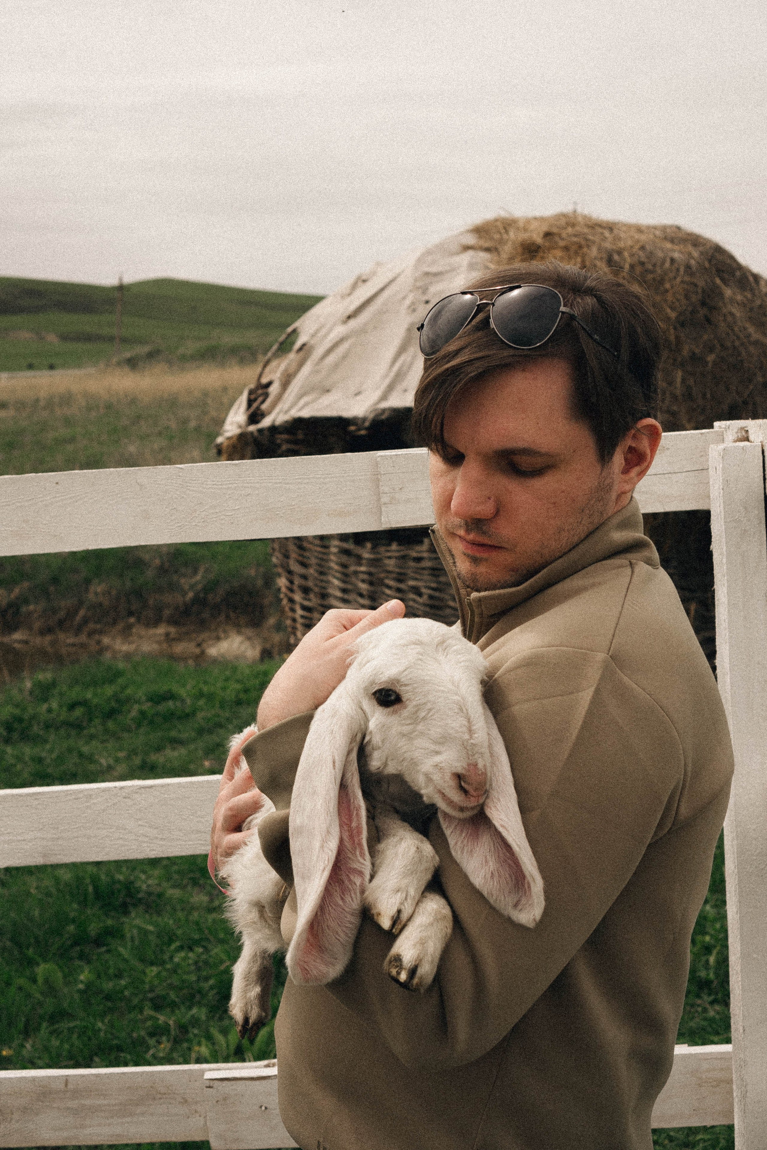 Ферма Альпак. Профессиональный фотограф, Санкт-Петербург — Виктория Богомолова