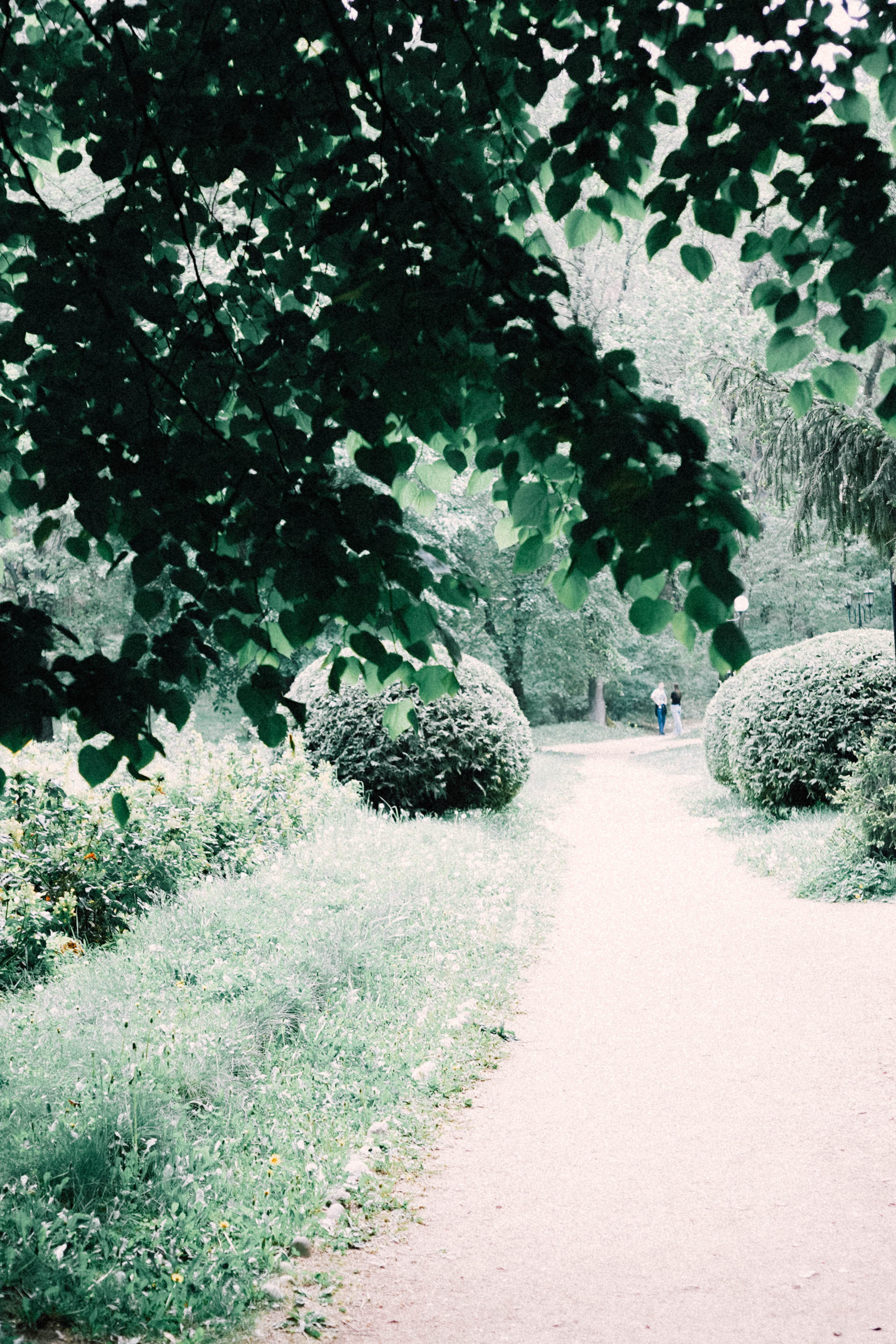 КИСЛОВОДСК. Профессиональный фотограф, Санкт-Петербург — Виктория Богомолова