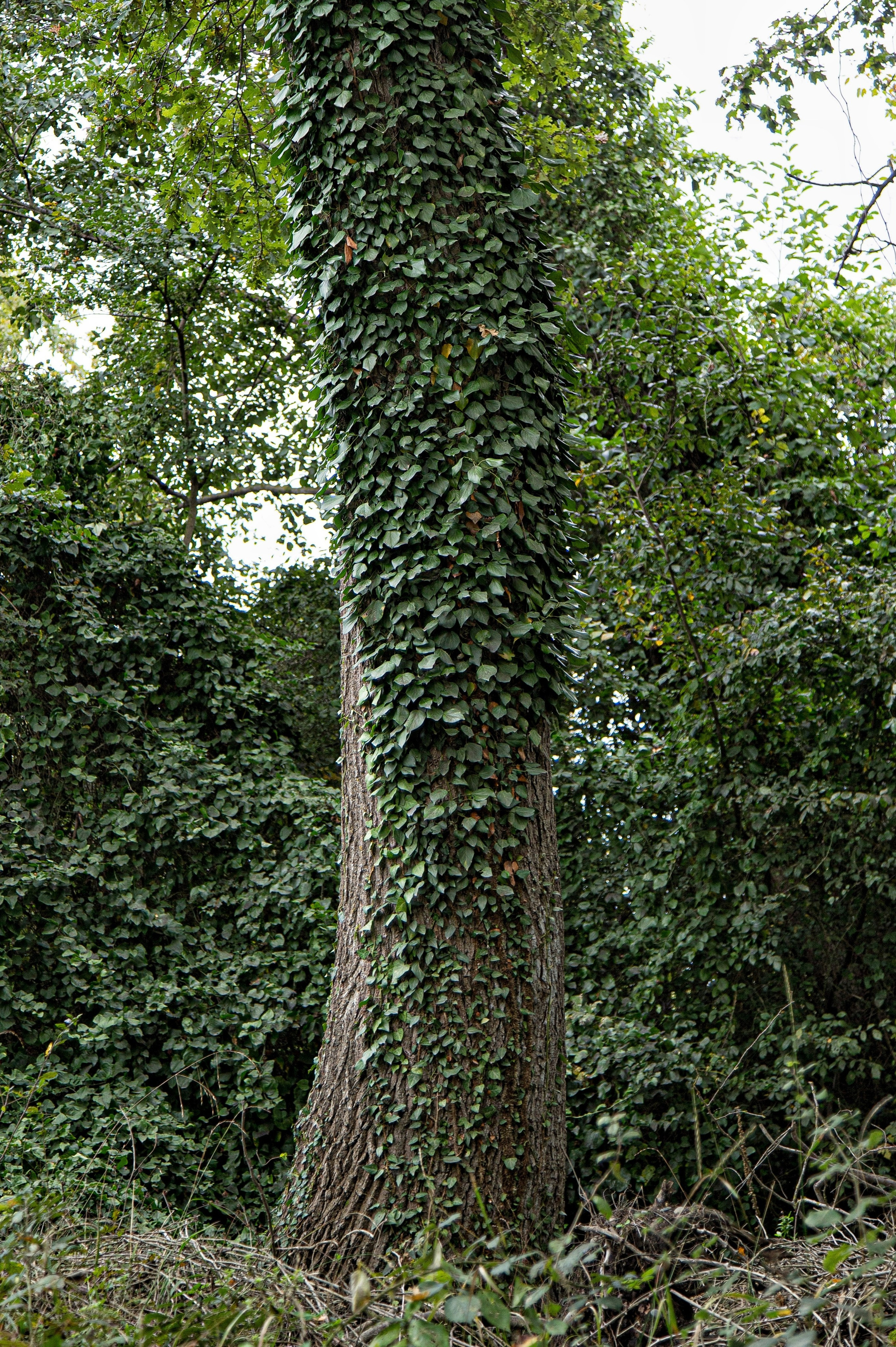 Report: Пейзажи Кавказа. Фотограф в Перми Любовь Огородова | Авторские туры