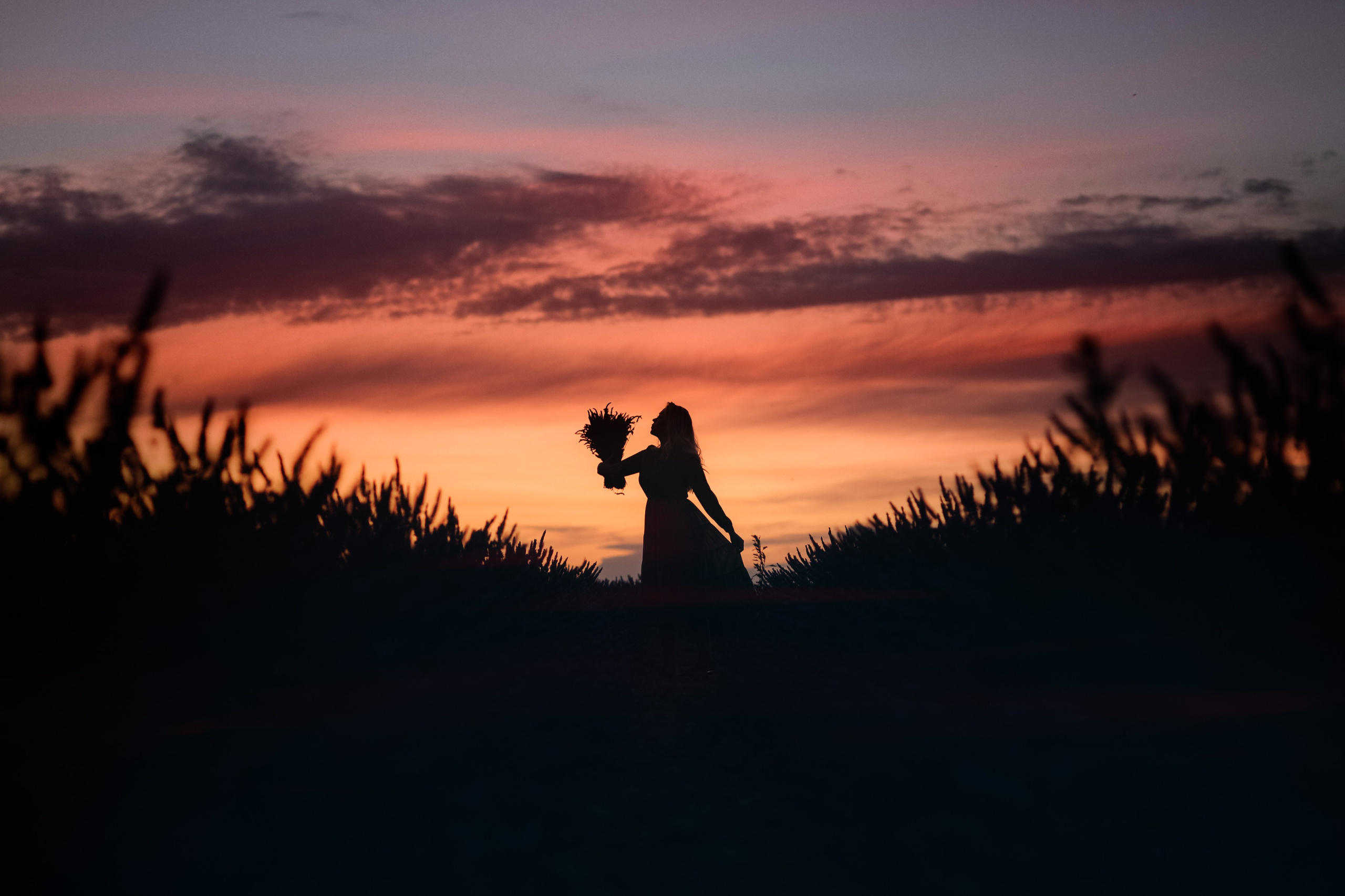 Lavender. Photographer in Provence Julia Lipiainen