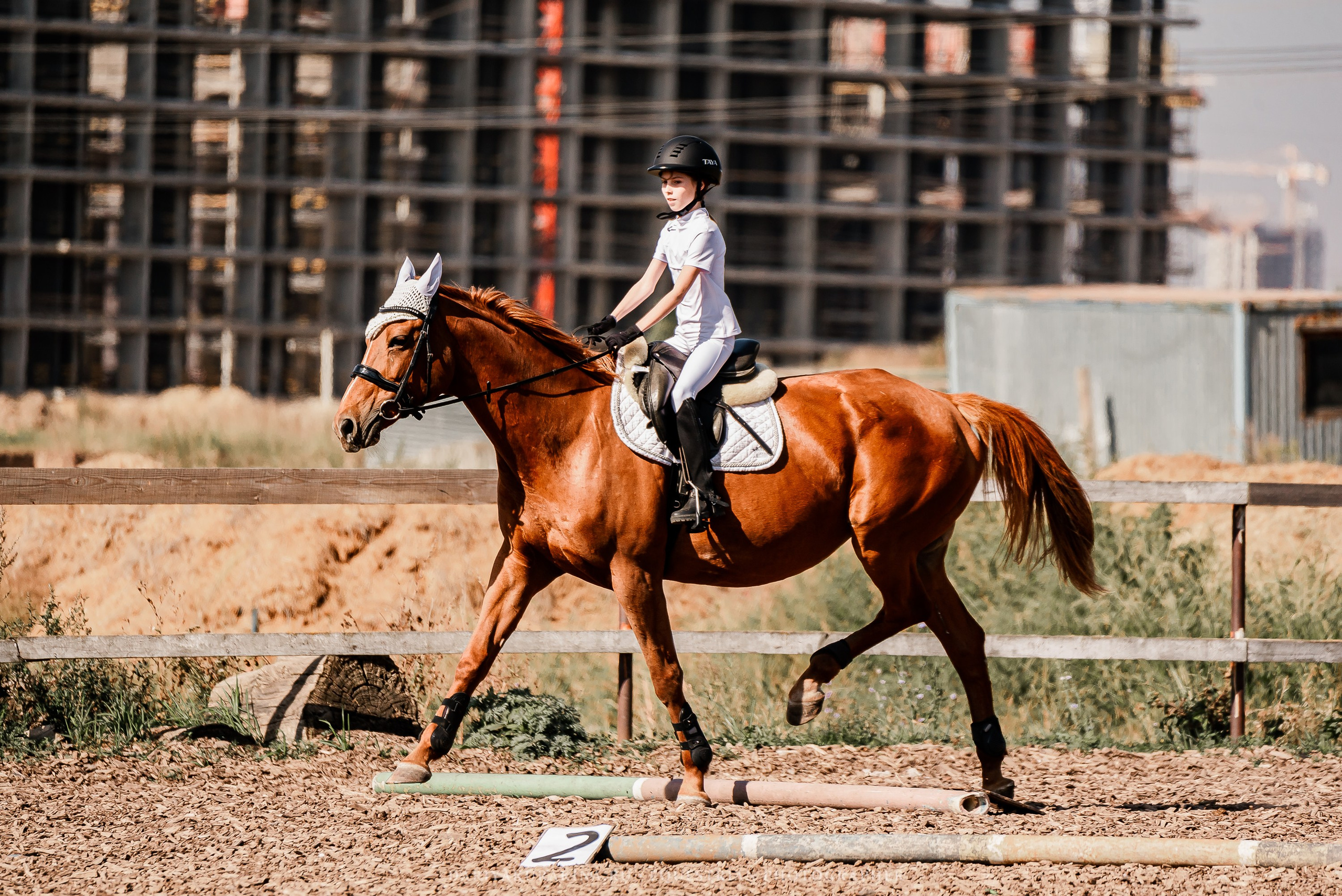 Соревнования по конкуру в КБ «КАЗАЧИЙ ДОЗОР». Конный фотограф Куракина Дарья • Фотосессии с лошадьми