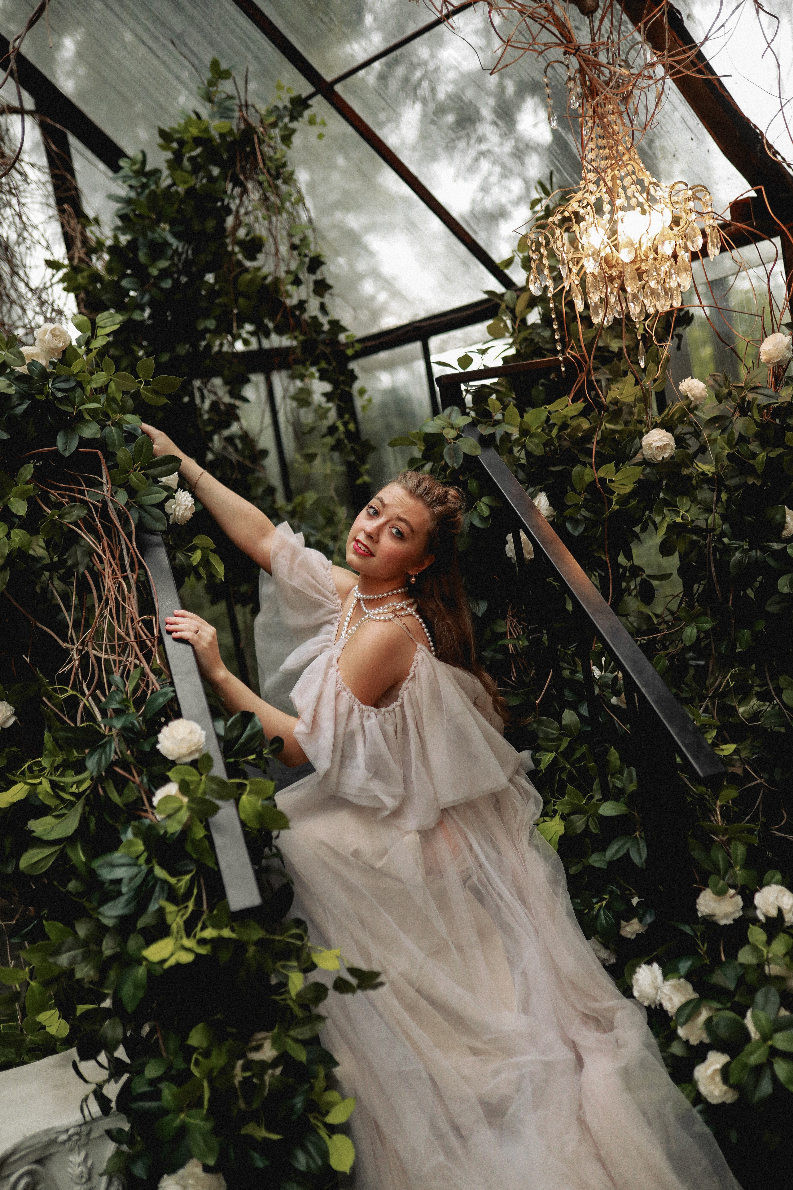 Зачарованный лес