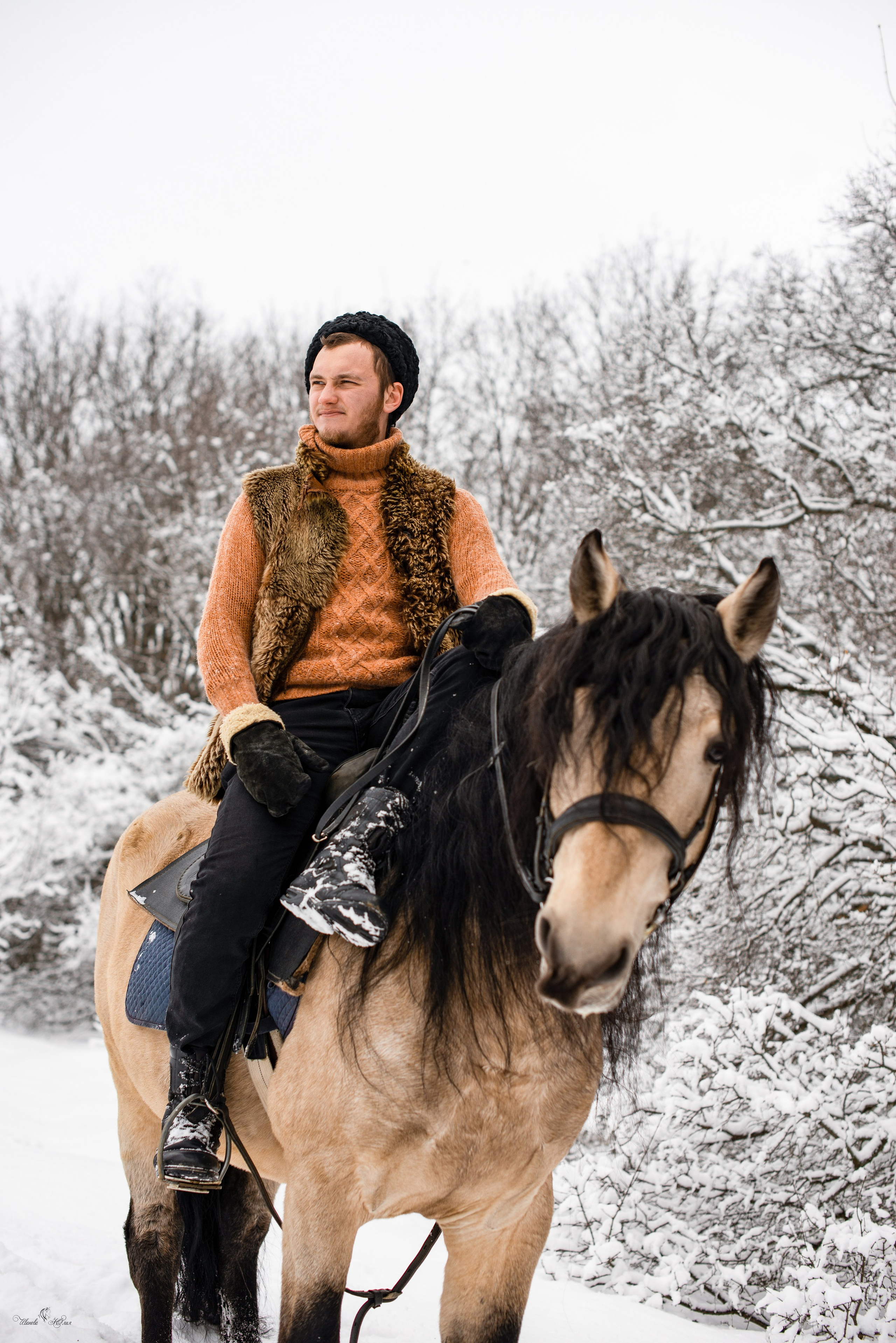 Геннадий и Тэзей. Конный фотограф в Саратове Юлия Иванова