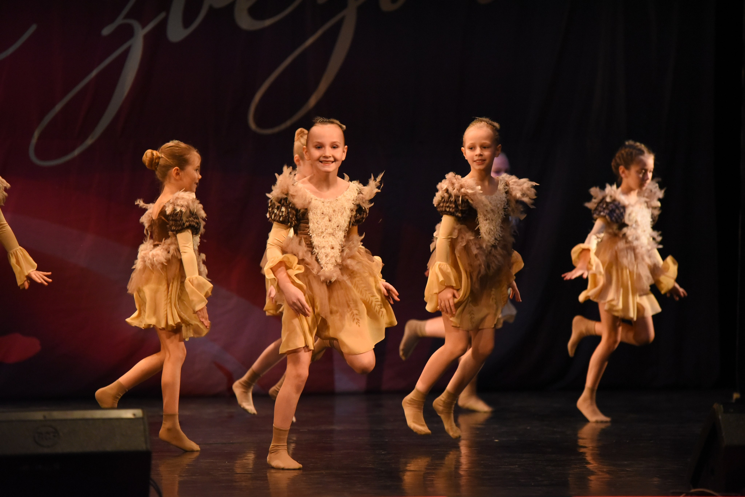 13 декабря, г. Калининград. Золотое яблочко