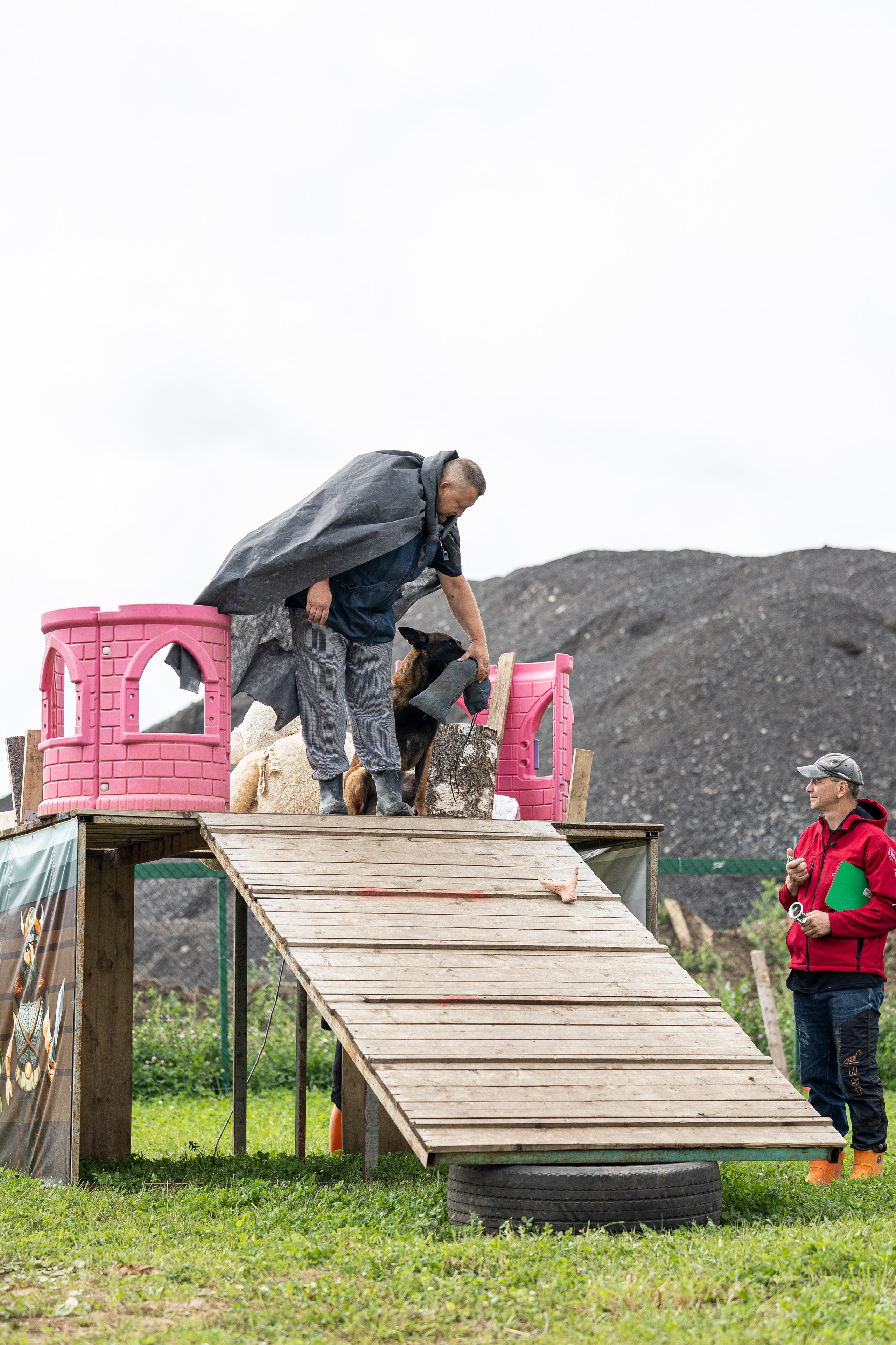 Соревнования по Мондьорингу г. Вологда 10-11.08.2024. Фотограф-анималист Анна Маринич