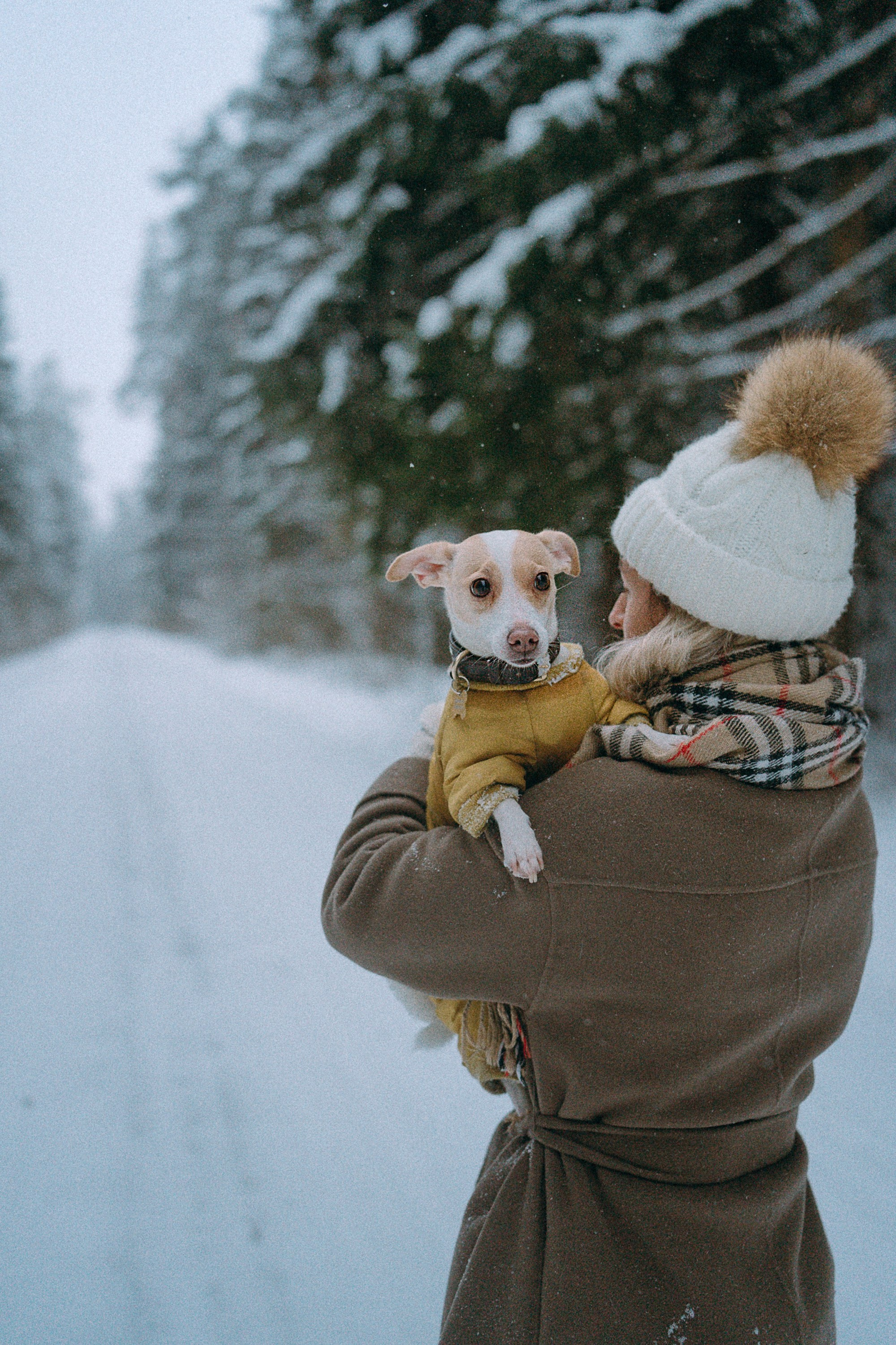 Алина, Ваниль и Элис. Фотограф анималист в Москве и Санкт-Петербурге Свиридова Анна