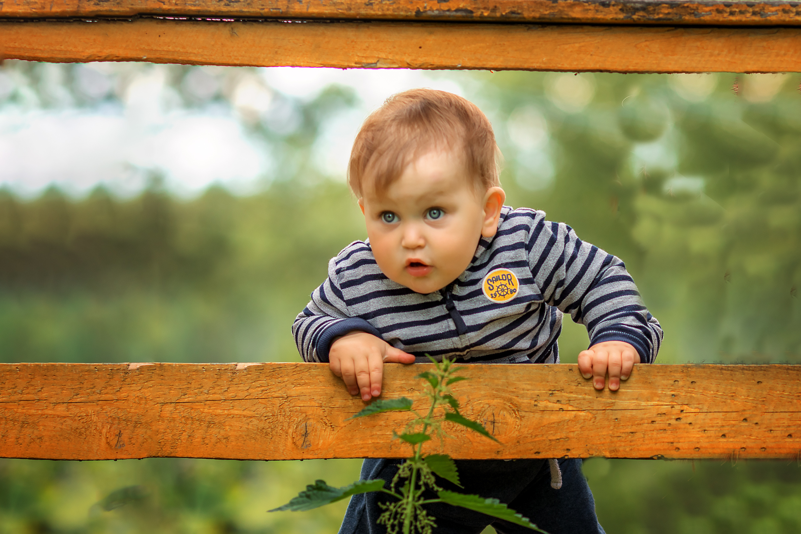 Детская фотосессия в Ярославле. Семейный и детский фотограф в Ярославле Абрамов Артём
