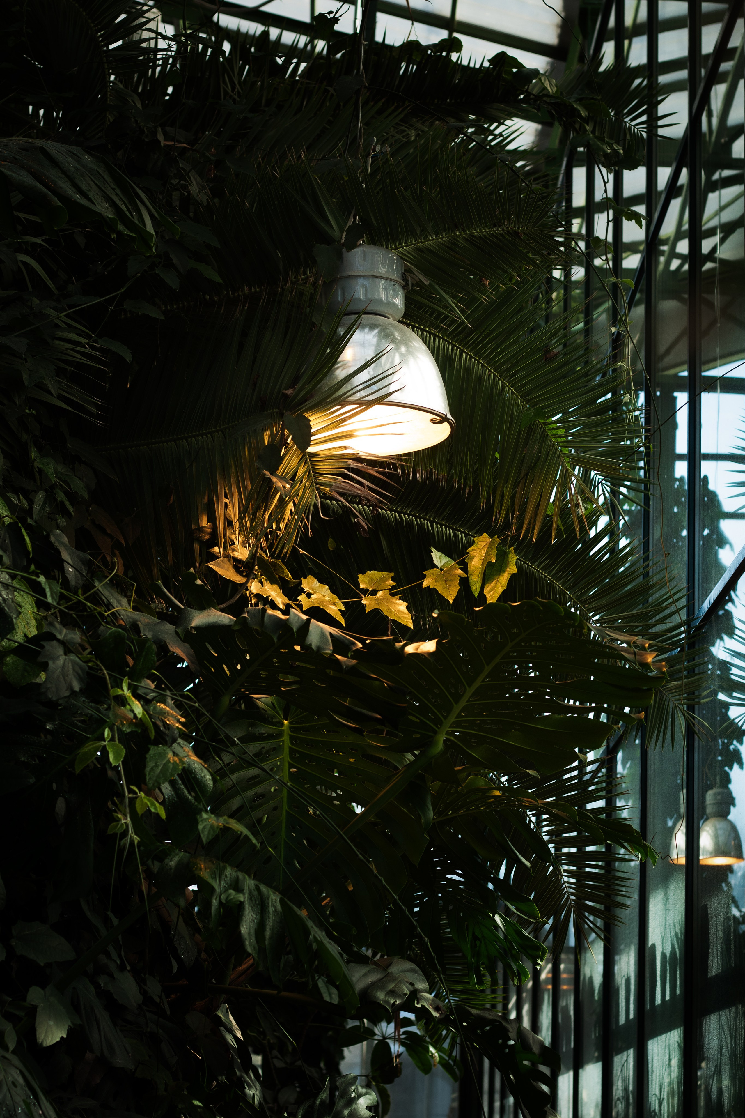 Саша и Ботанический сад. Dmitriy [KCCC] is a pretty cool photographer