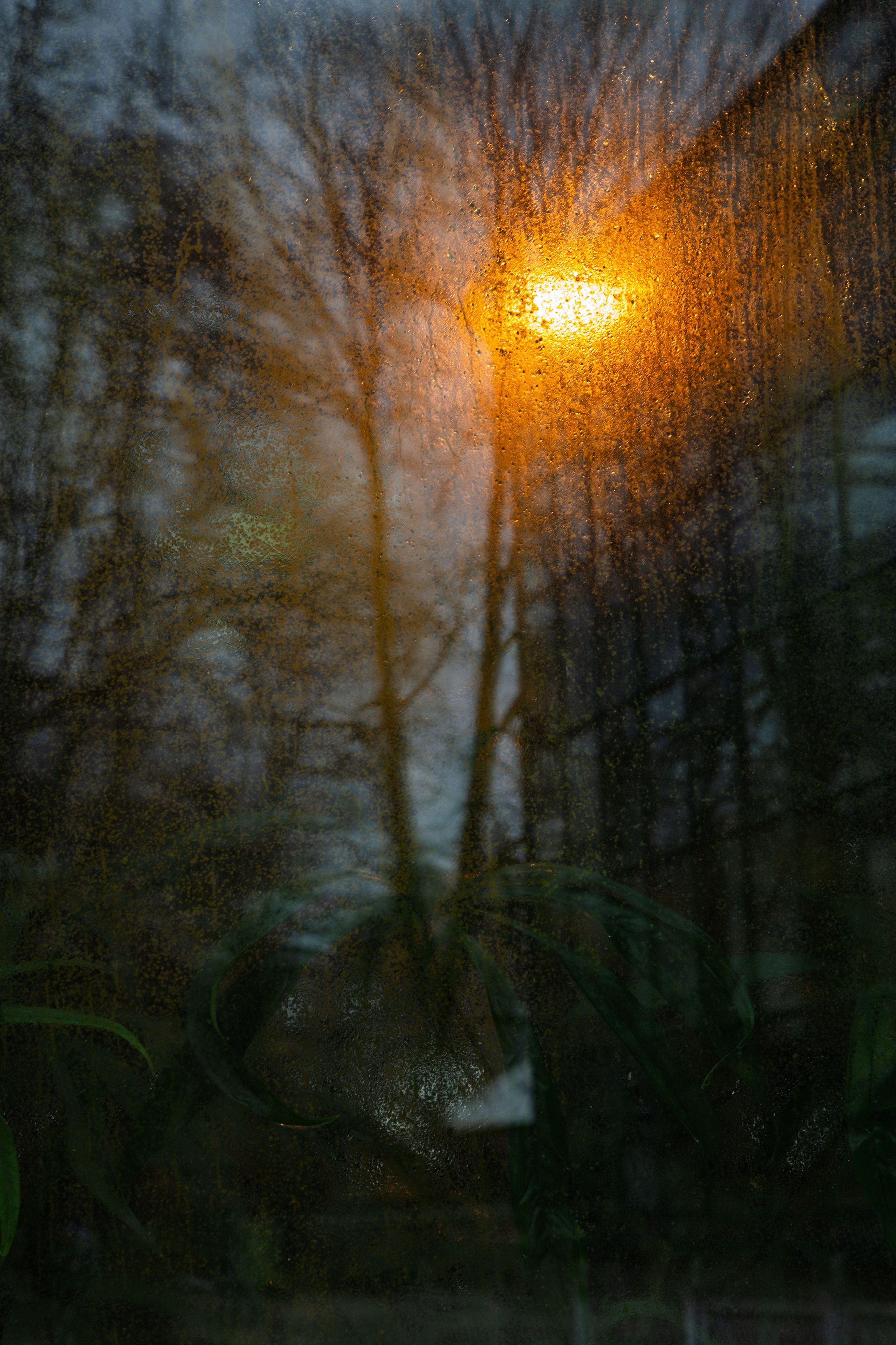 Green. Dmitriy [KCCC] is a pretty cool photographer