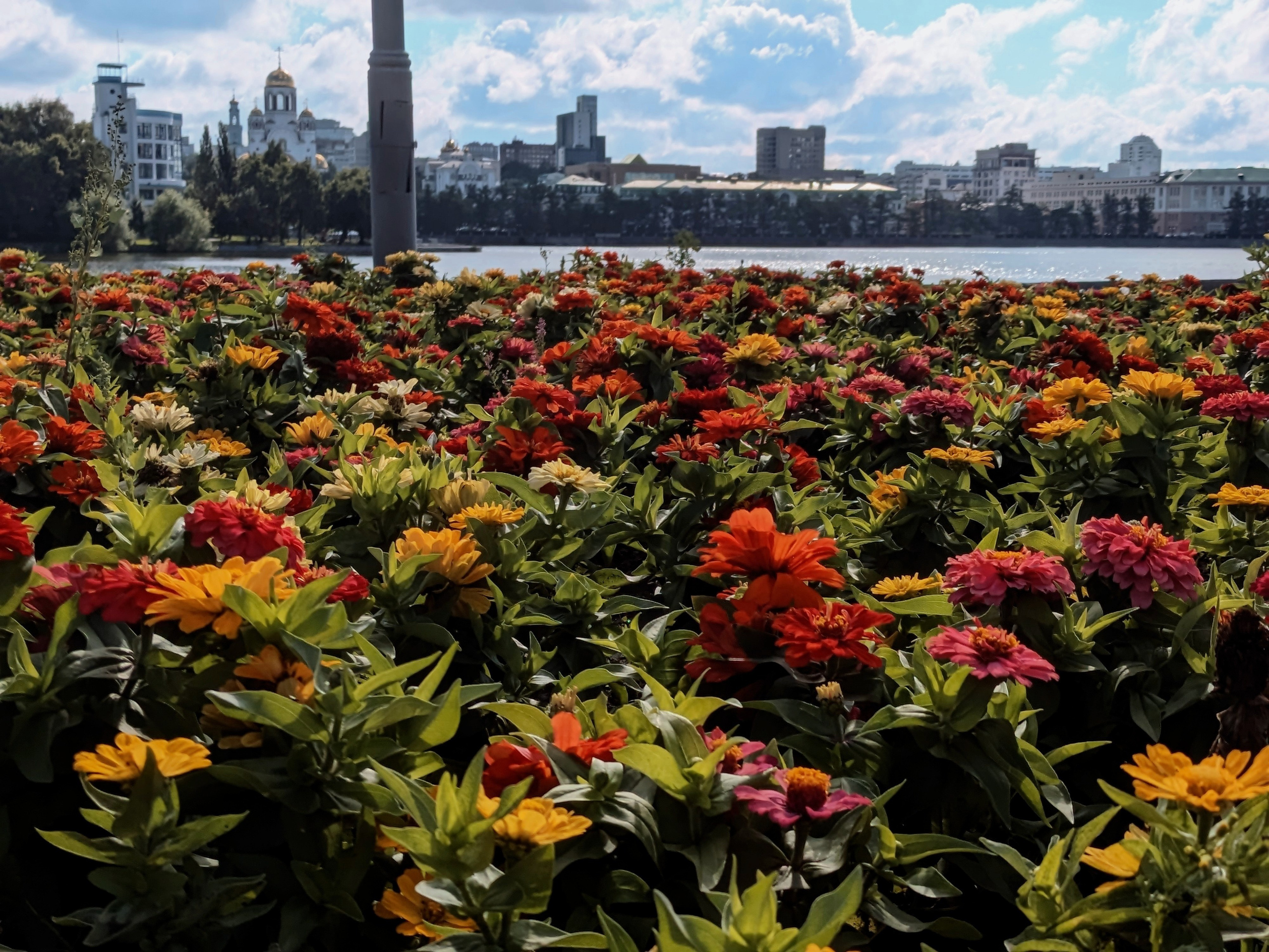 Солнечный. Фотограф в Санкт-Петербурге Березовский Даниил