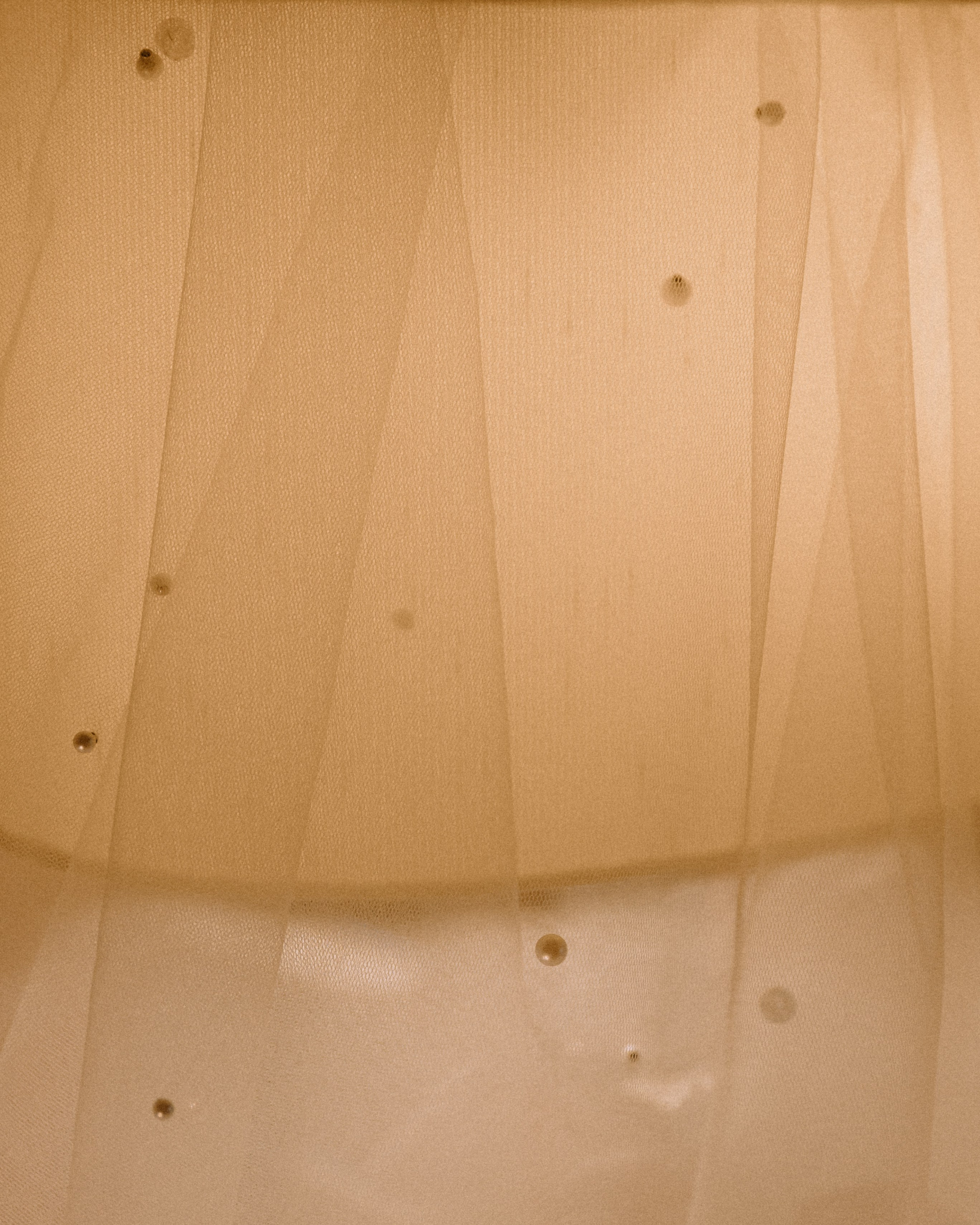 Алёна & Никита