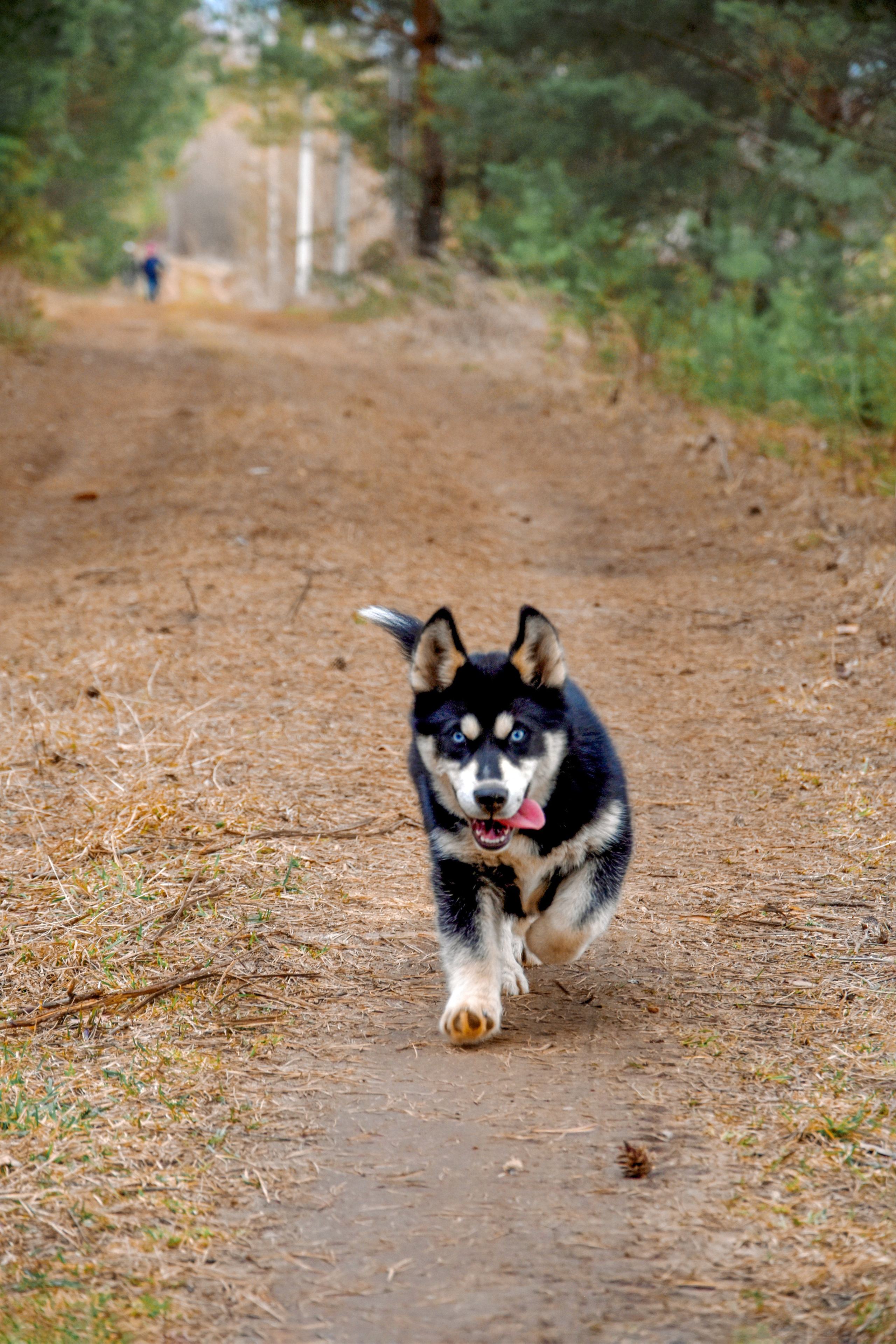Фотосессия на природе. Фотограф в Кирове Инна Софронова